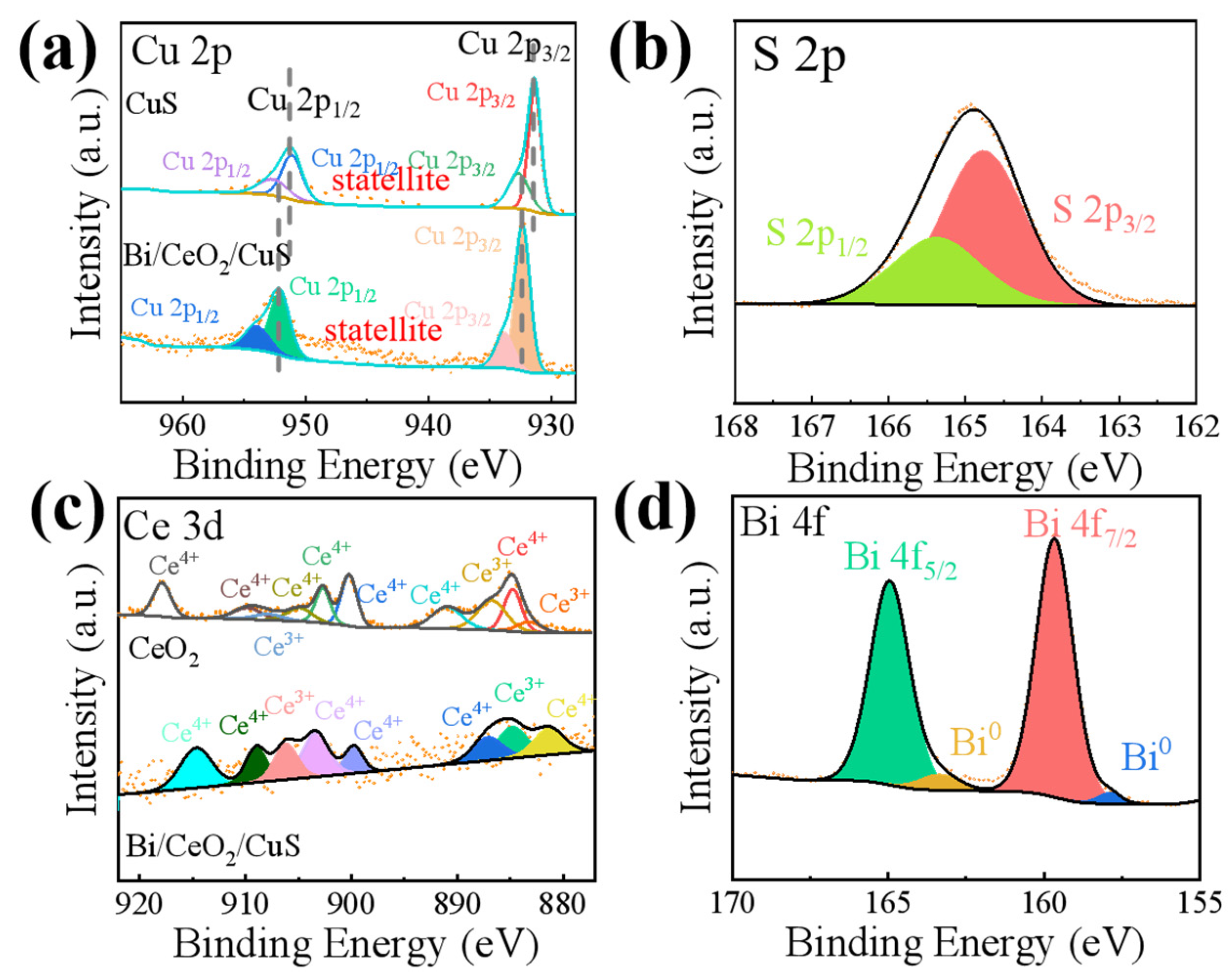 Molecules 29 02948 g004