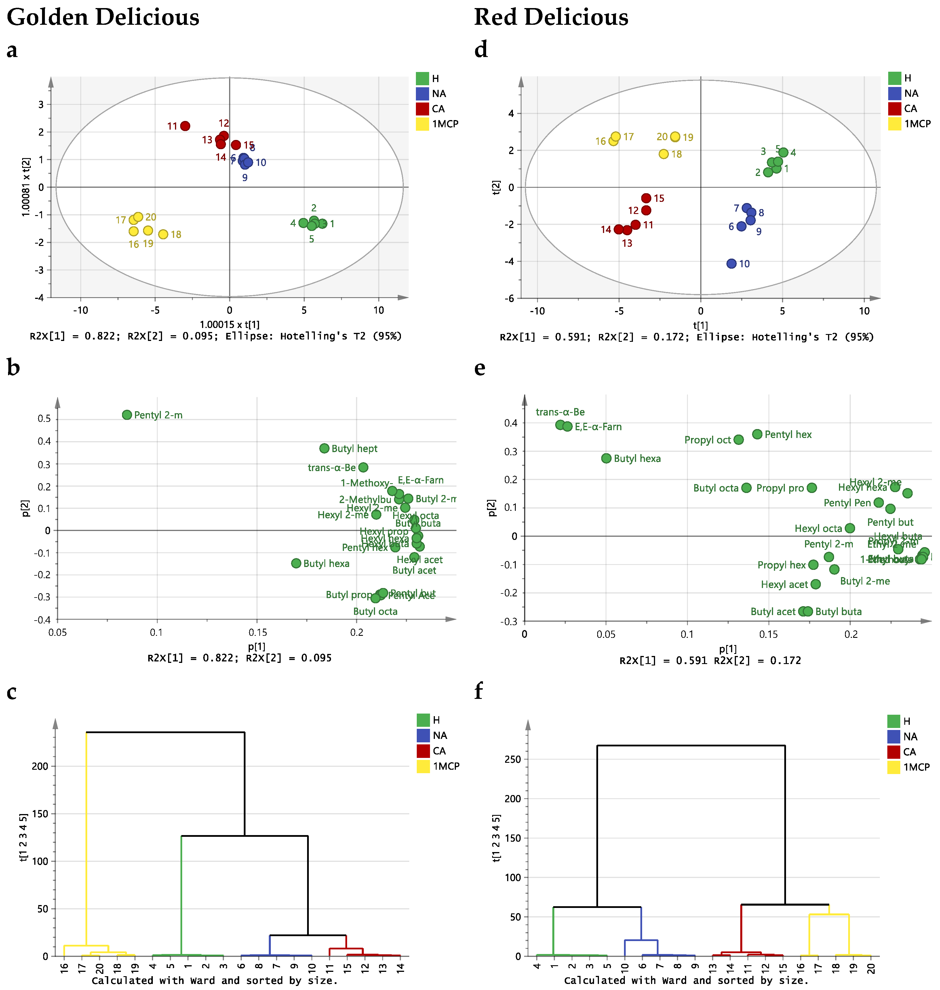 Molecules 29 02954 g001