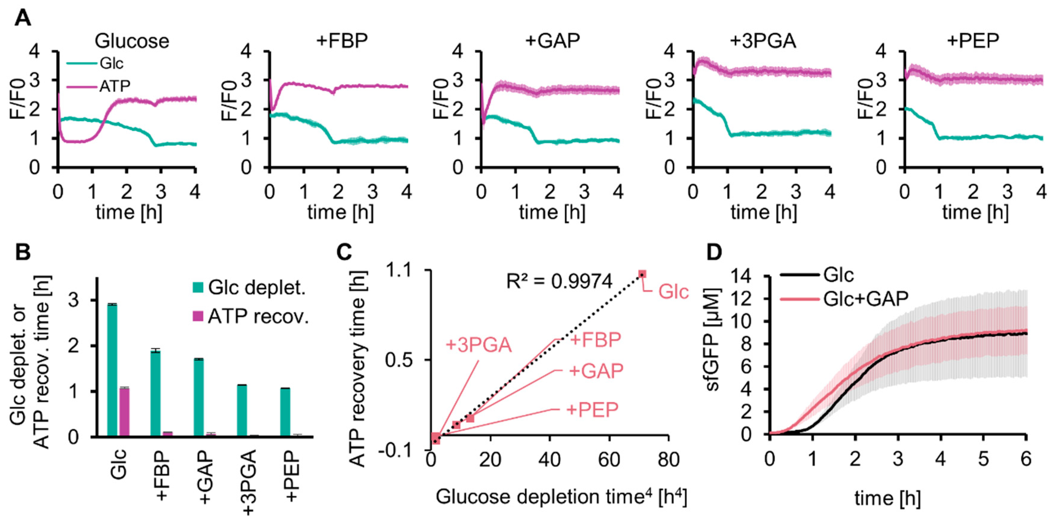Molecules 29 02956 g004