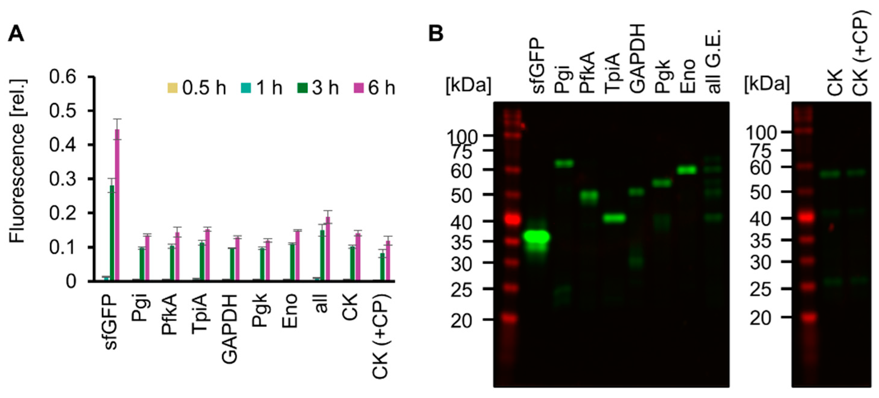 Molecules 29 02956 g005