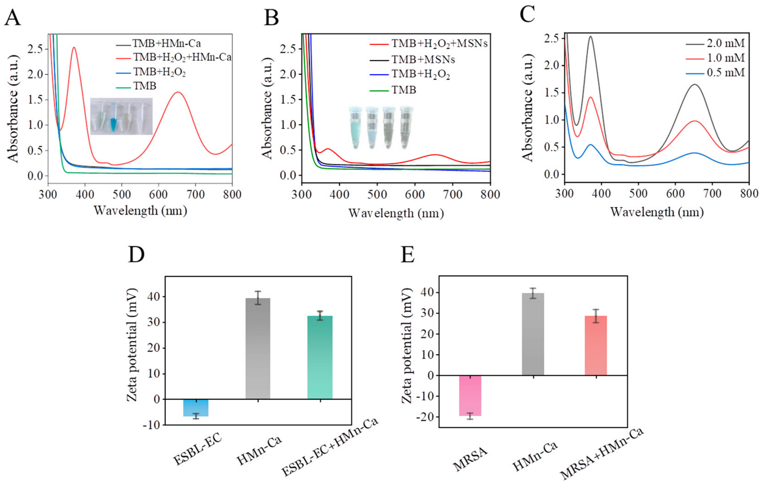 Molecules 29 02960 g002 Molecules 29 02960 g002