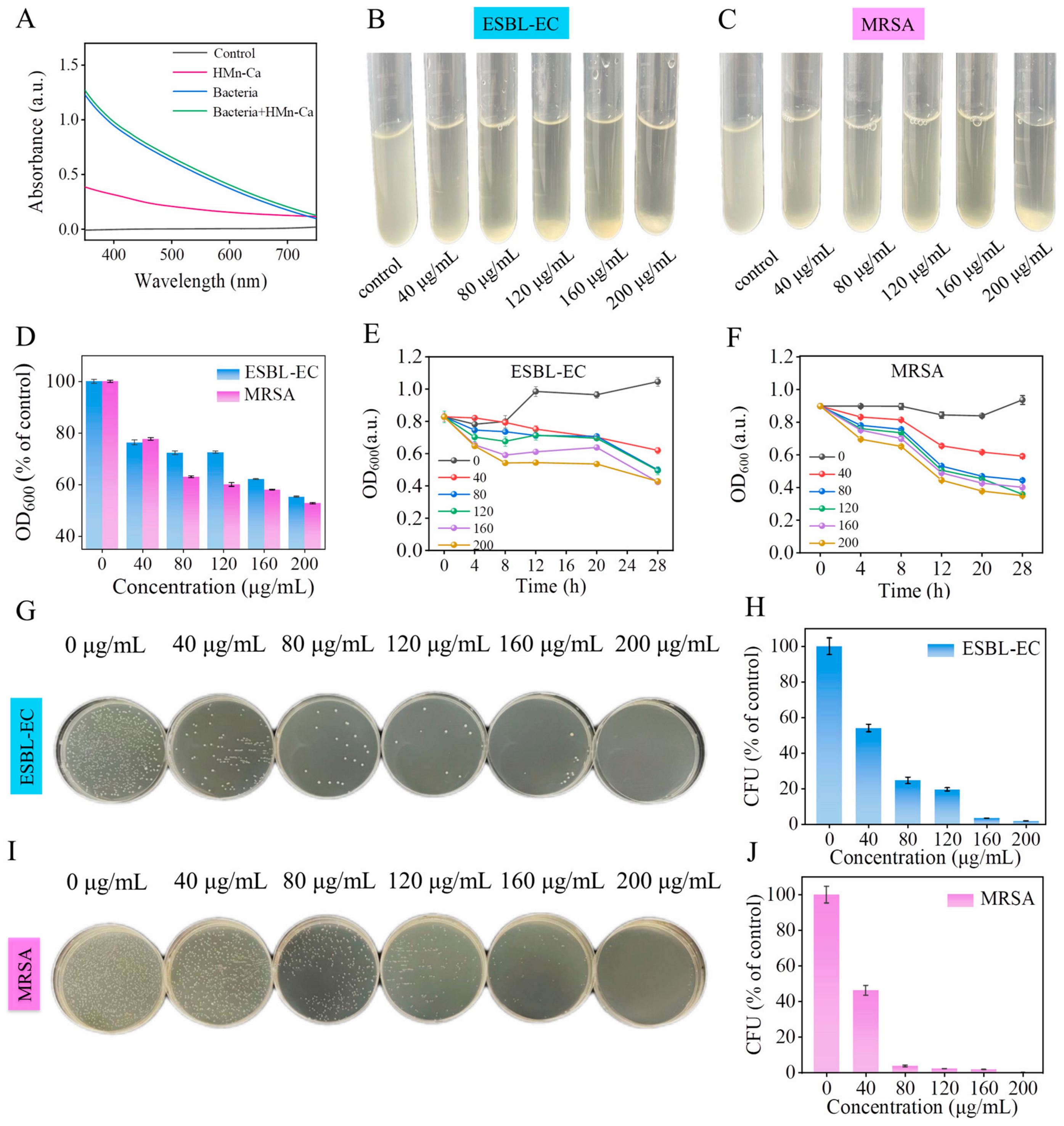 Molecules 29 02960 g003 Molecules 29 02960 g003