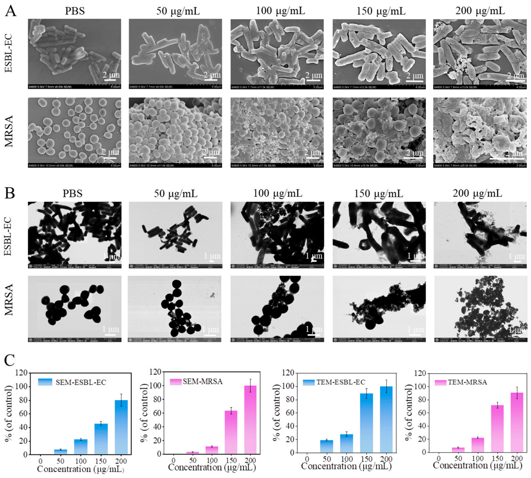 Molecules 29 02960 g004 Molecules 29 02960 g004