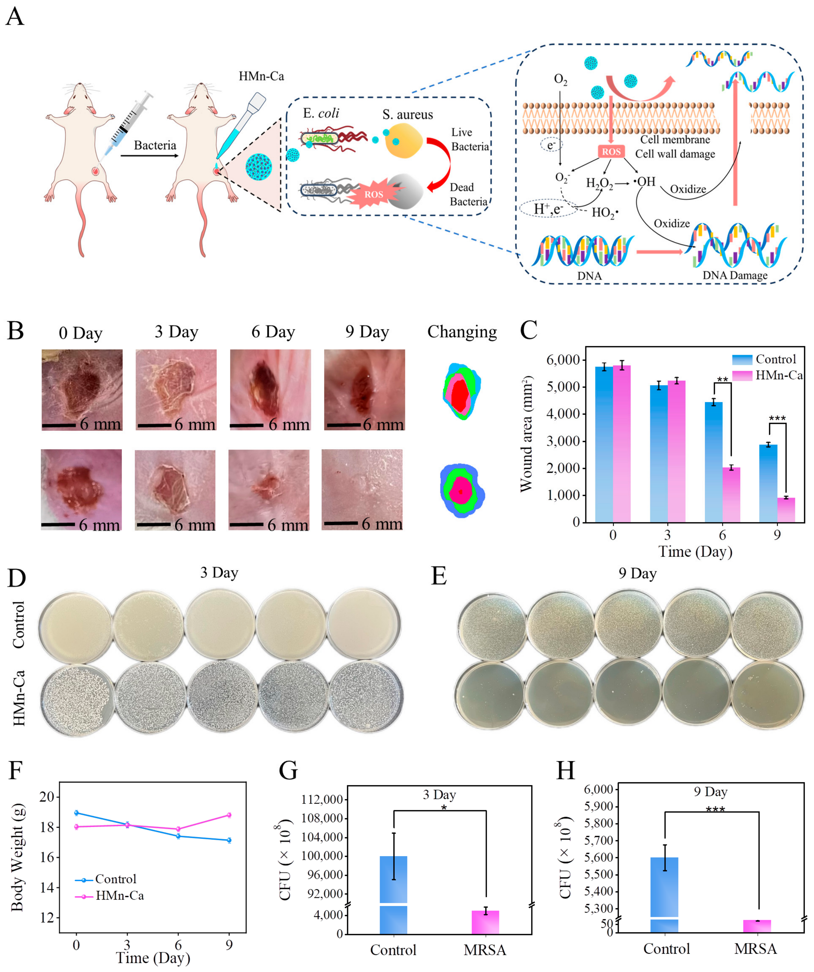 Molecules 29 02960 g005 Molecules 29 02960 g005