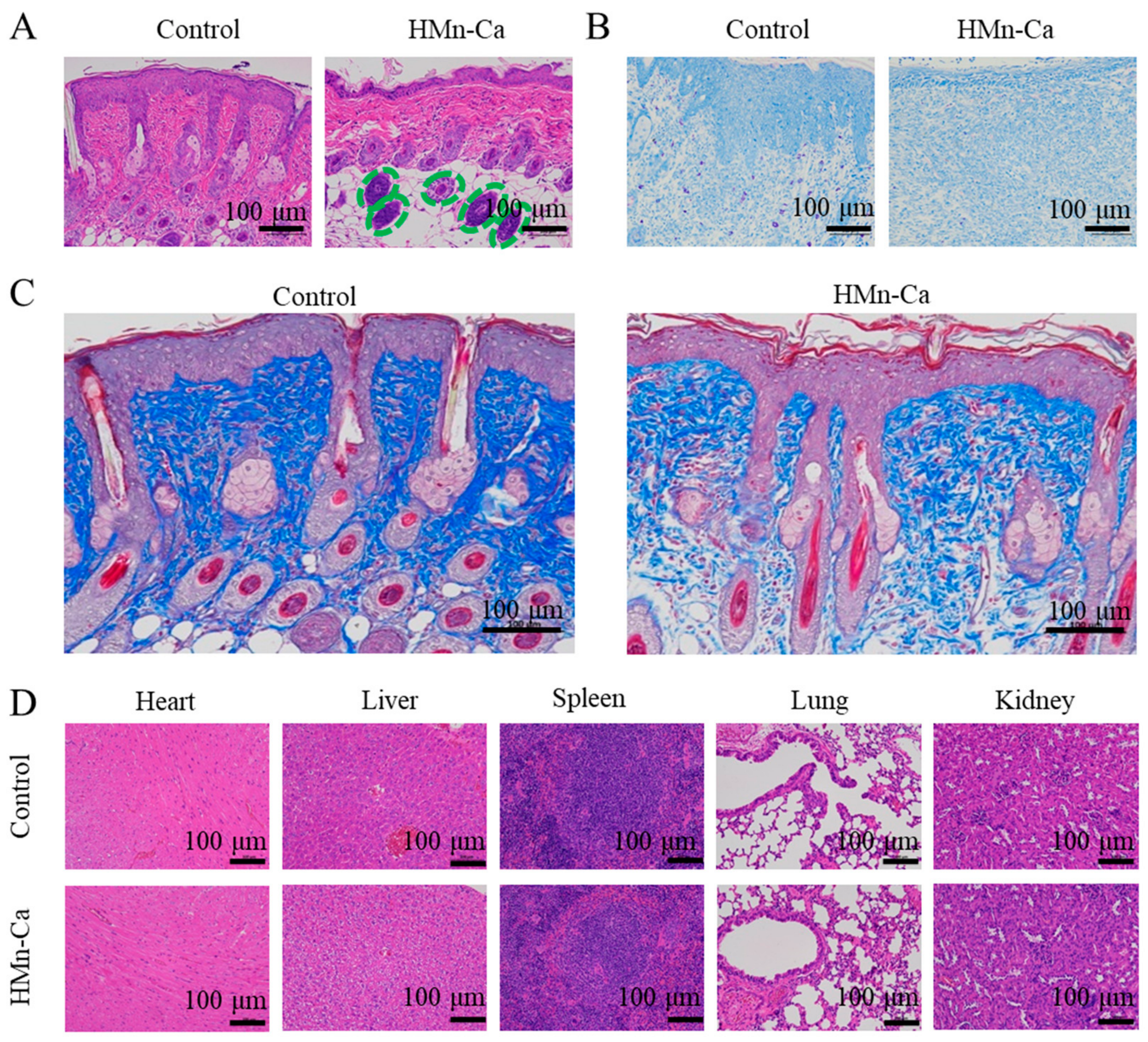 Molecules 29 02960 g006 Molecules 29 02960 g006