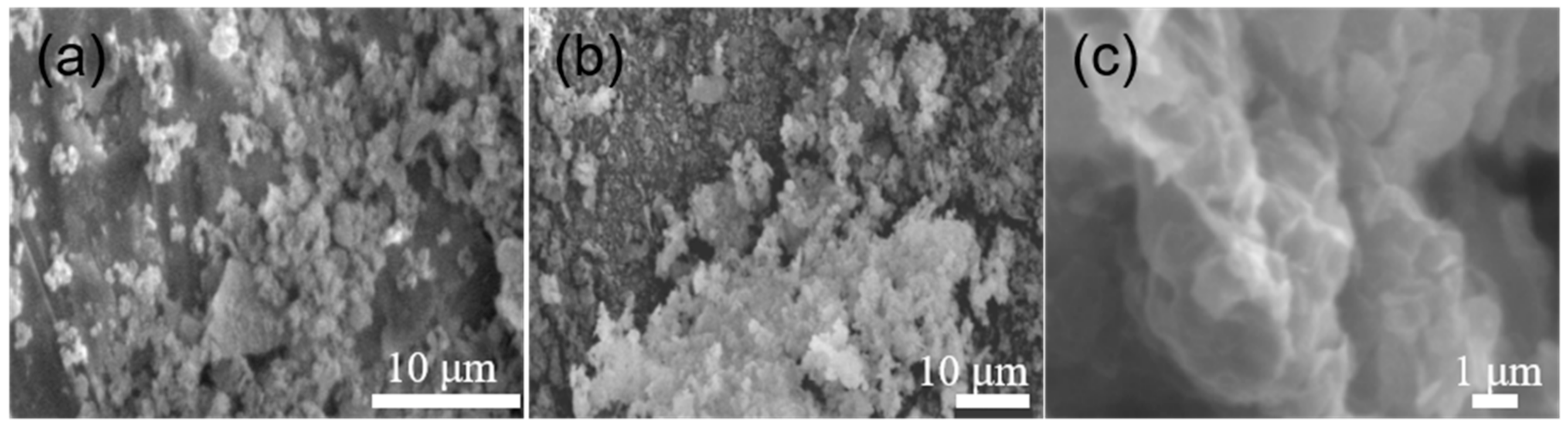 Molecules 29 02964 g006