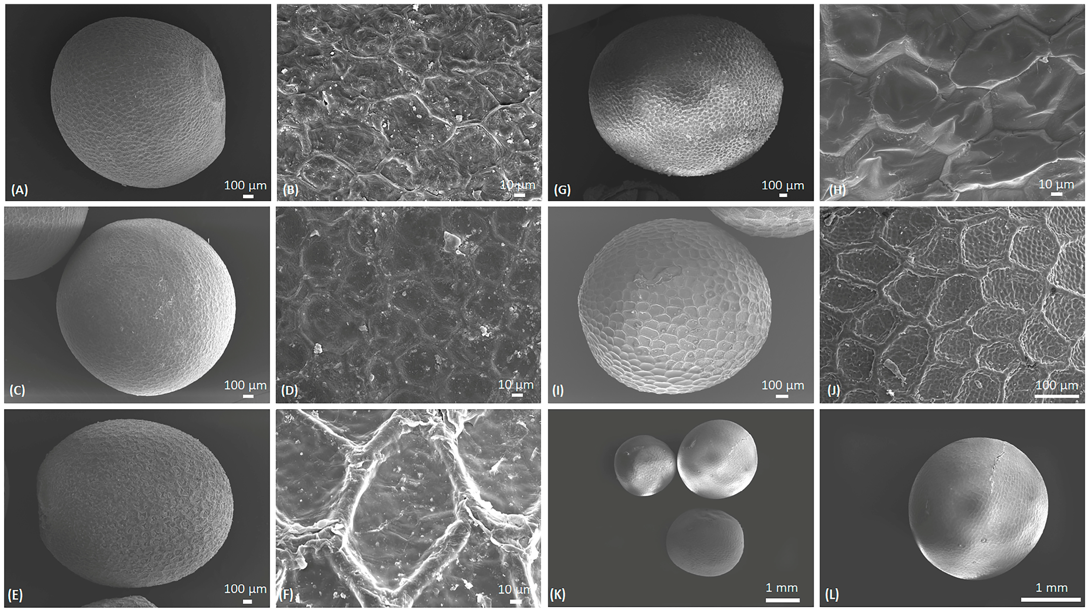Molecules 29 02965 g002