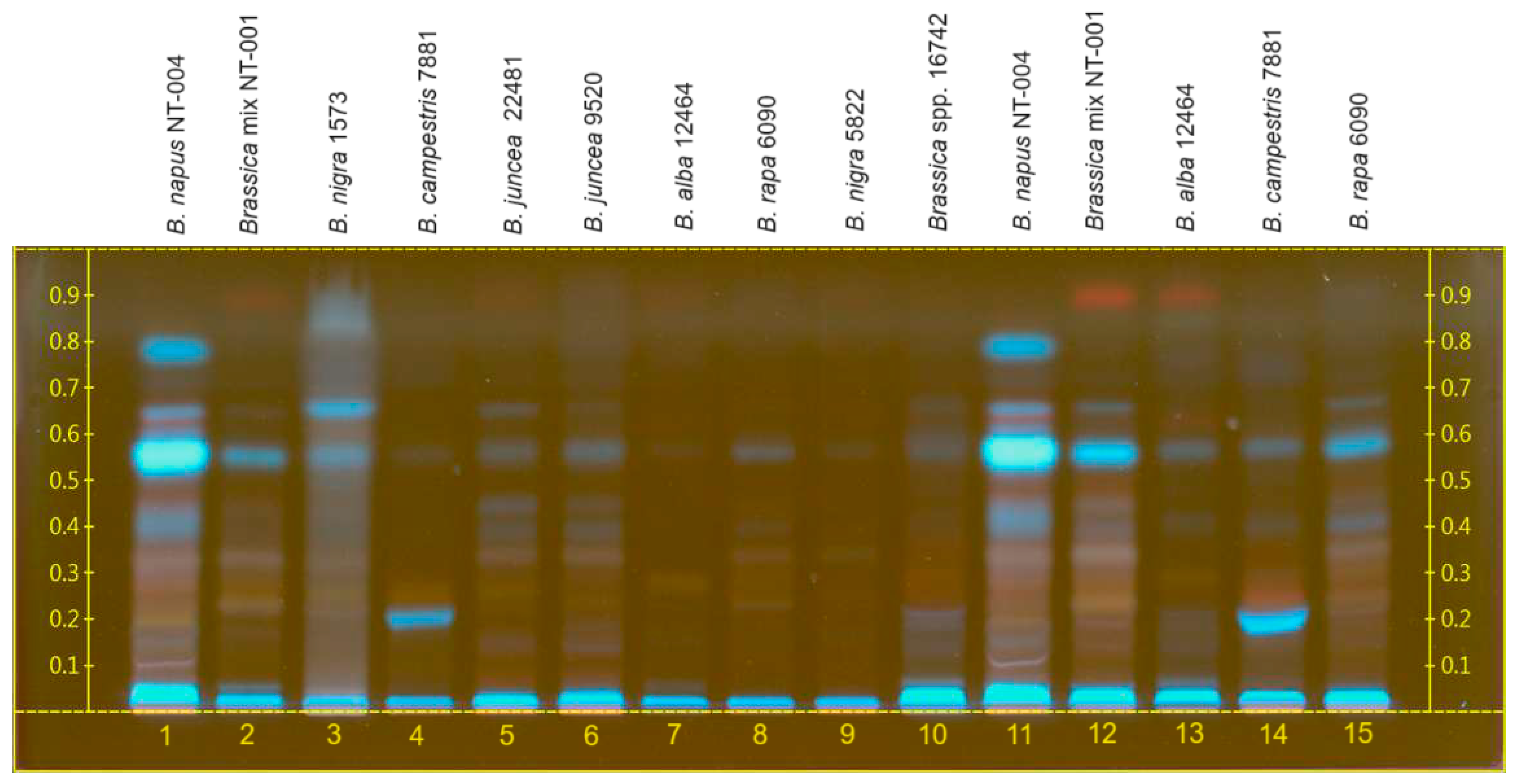 Molecules 29 02965 g003