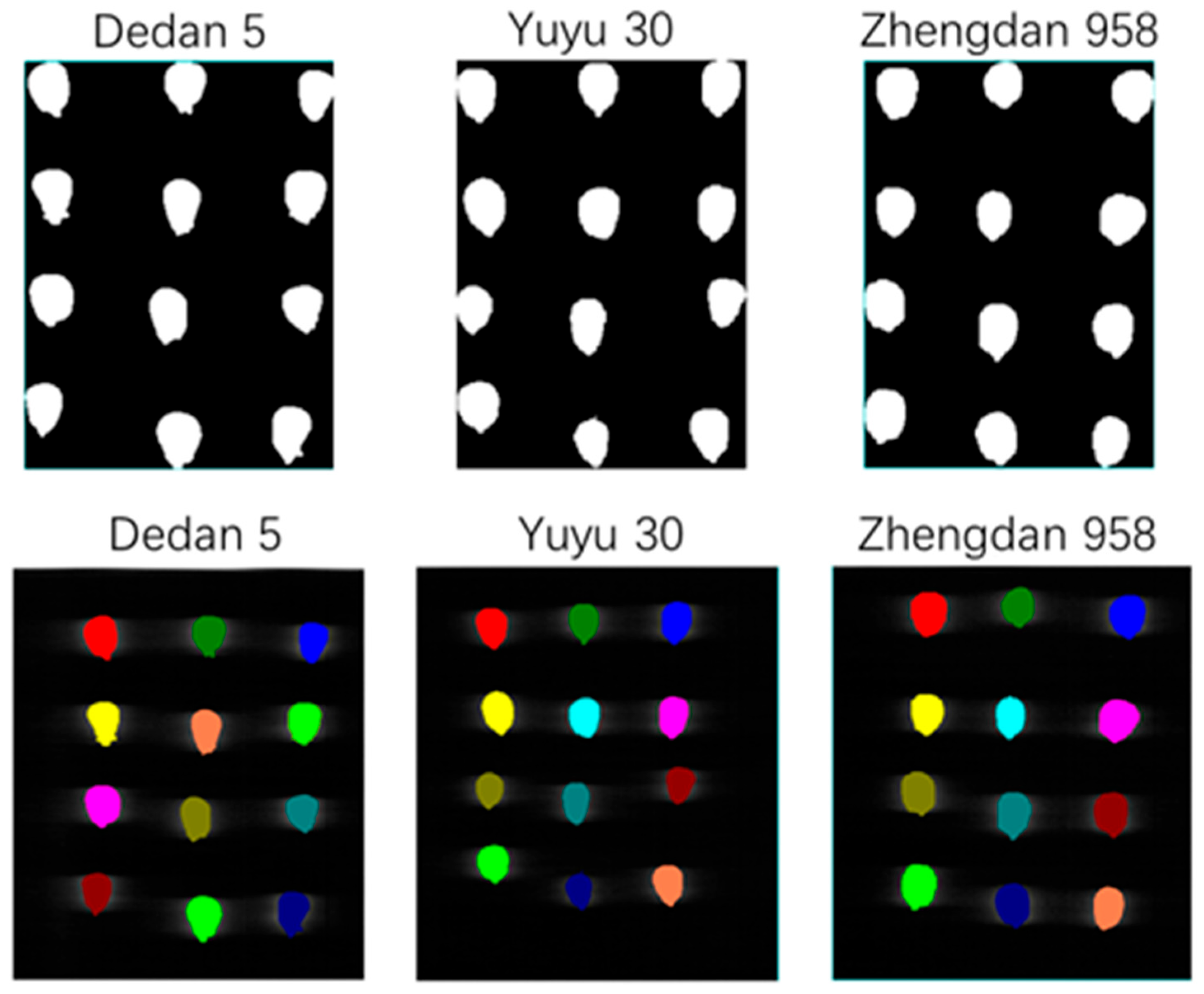 Molecules 29 02968 g002