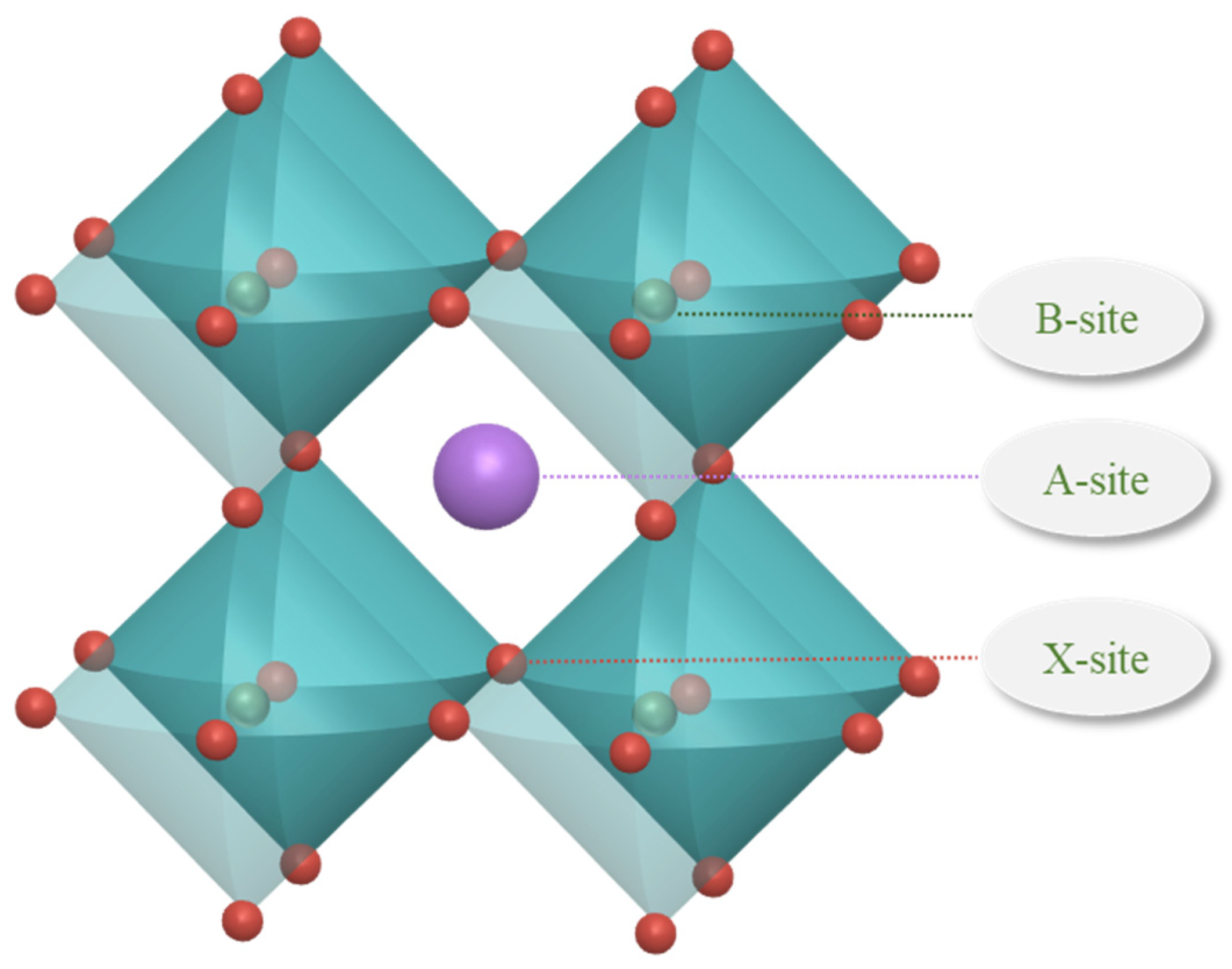 Molecules 29 02974 g007