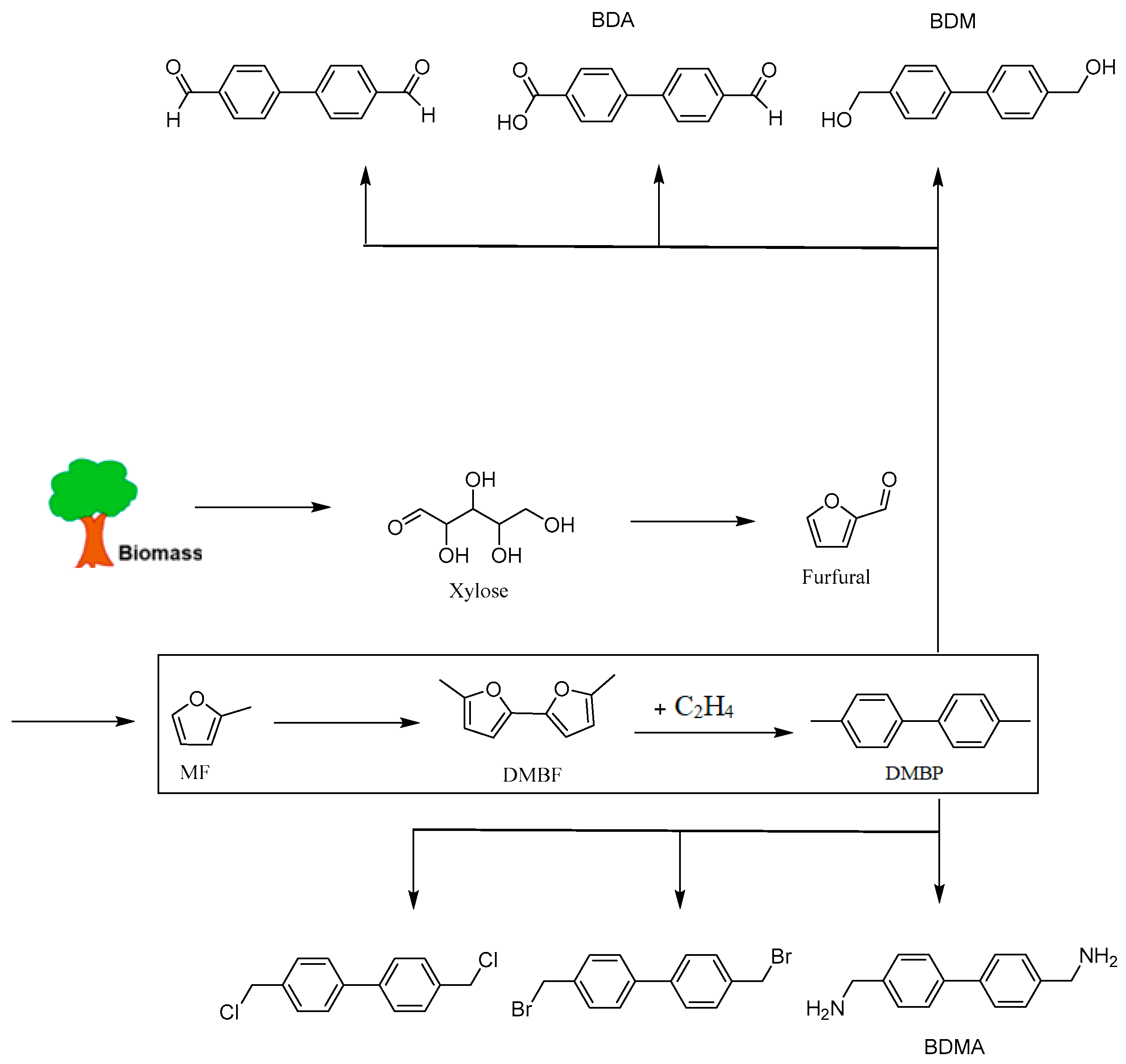 Molecules 29 02976 g018