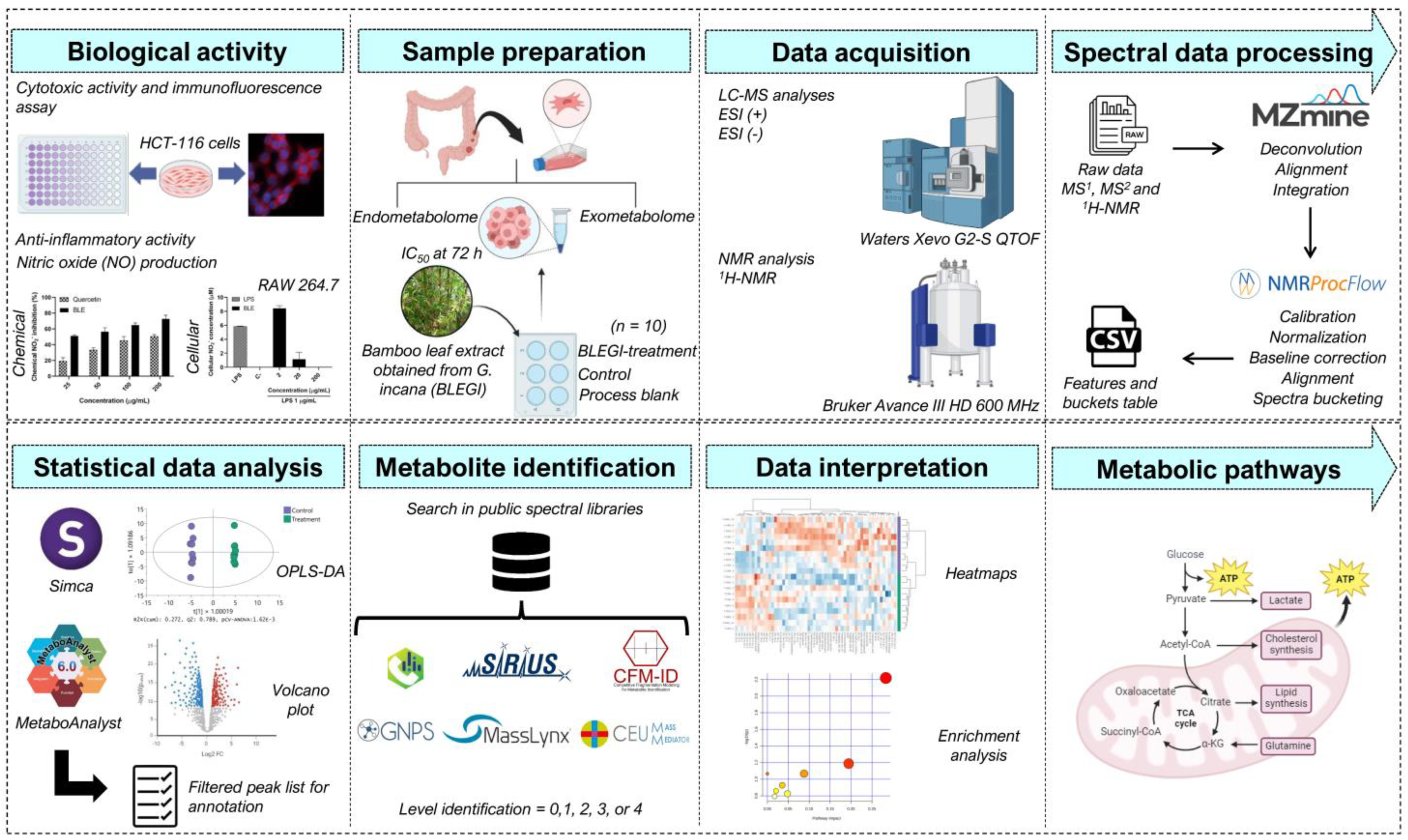 Molecules 29 02985 g001
