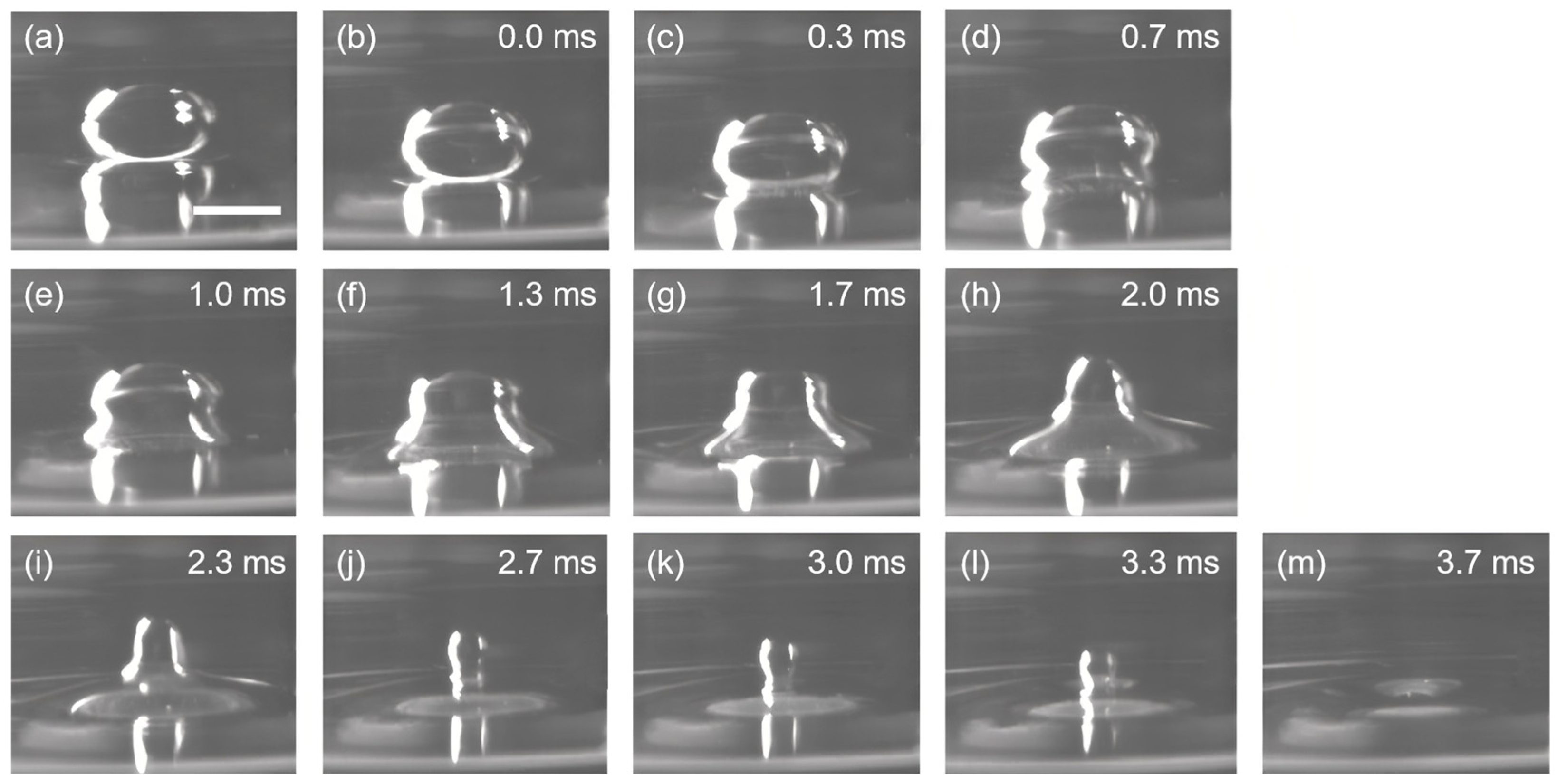 Molecules 29 02986 g002 Molecules 29 02986 g002