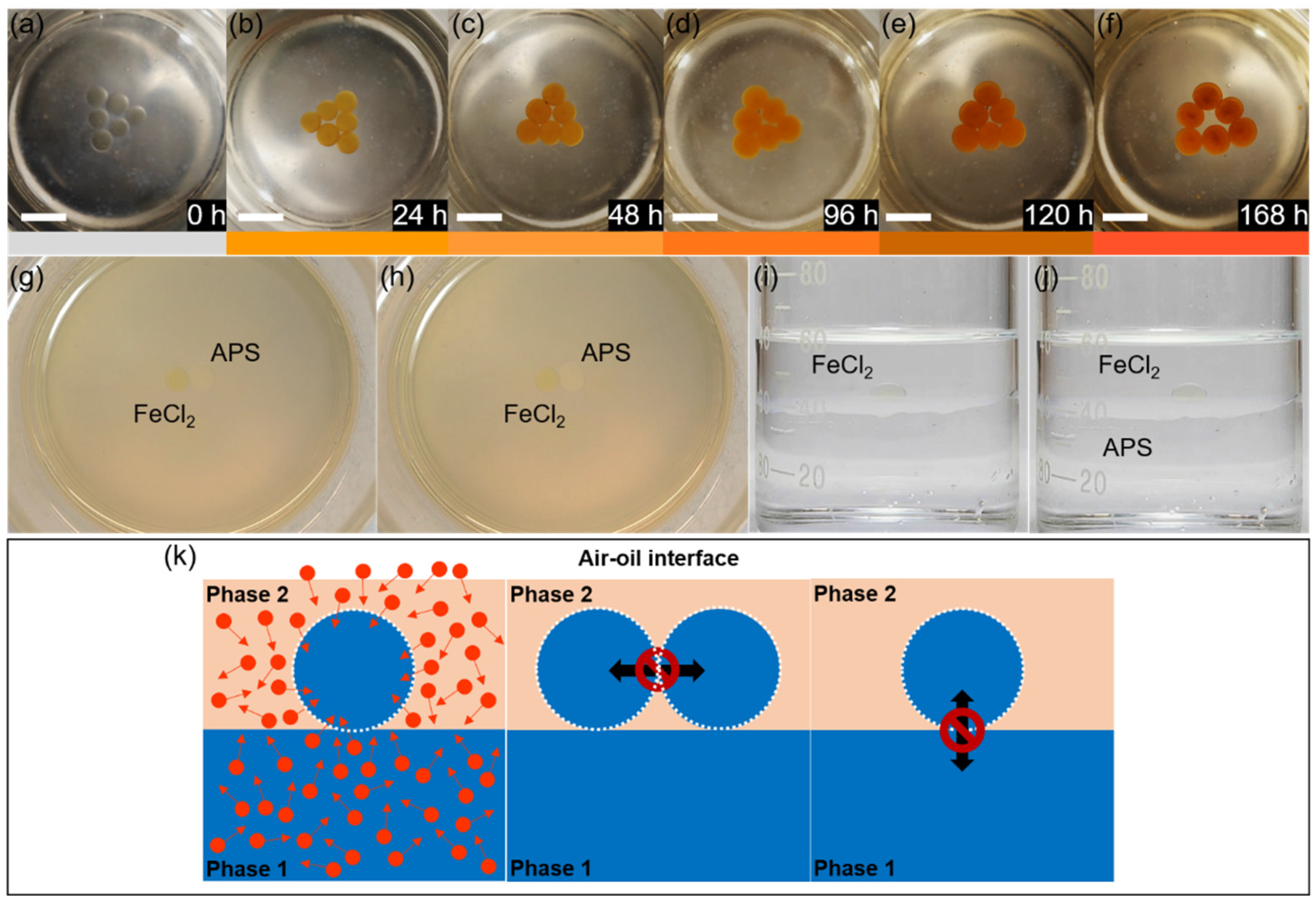 Molecules 29 02986 g003 Molecules 29 02986 g003
