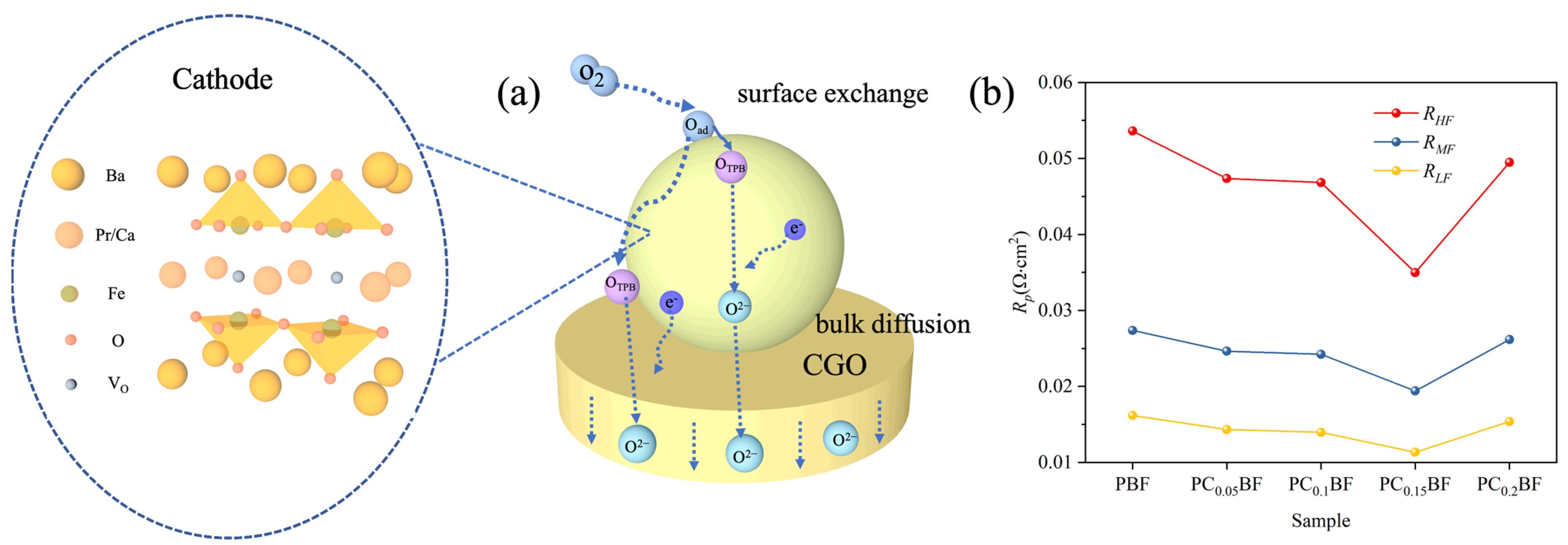 Molecules 29 02991 g007