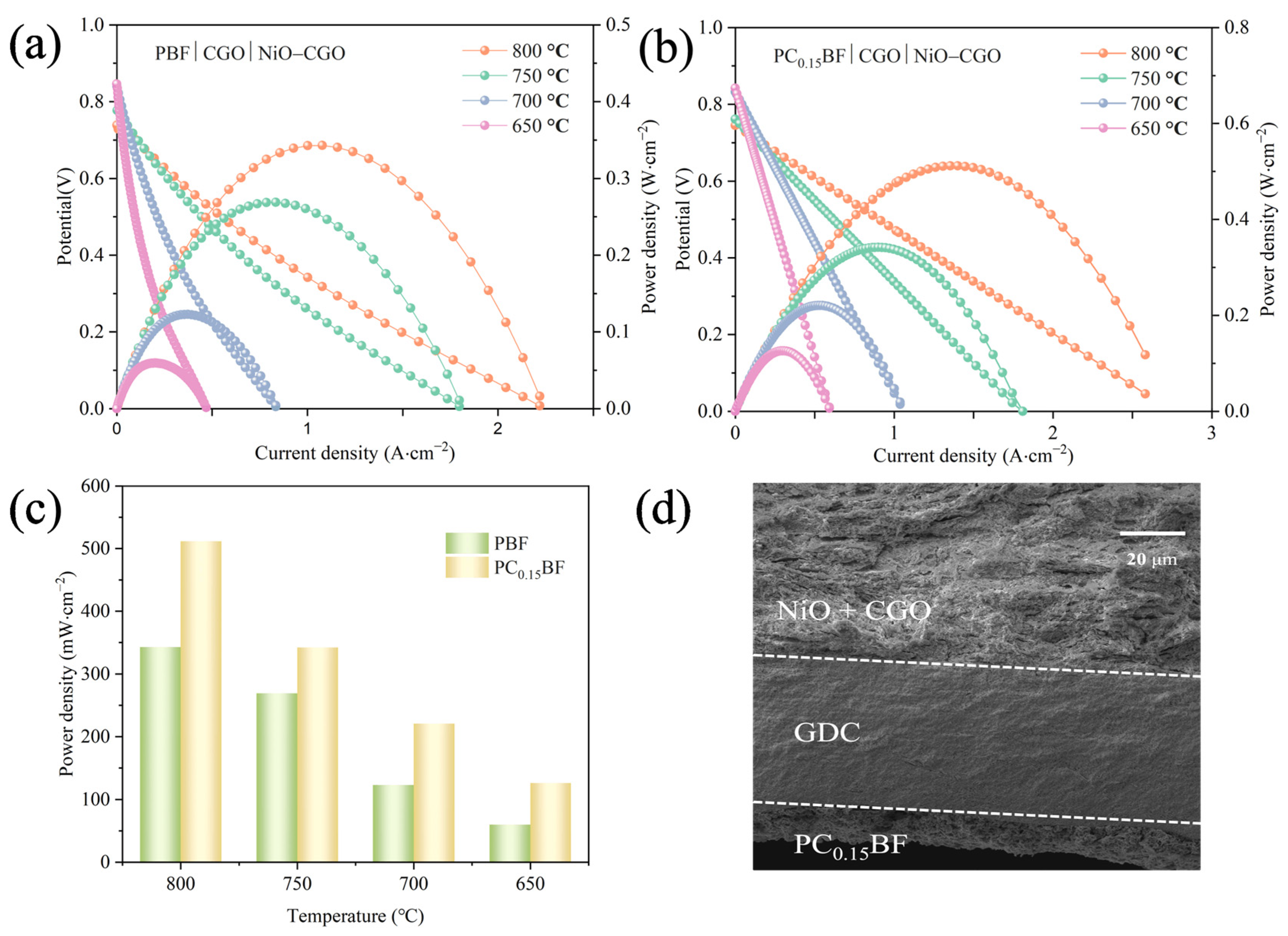Molecules 29 02991 g008