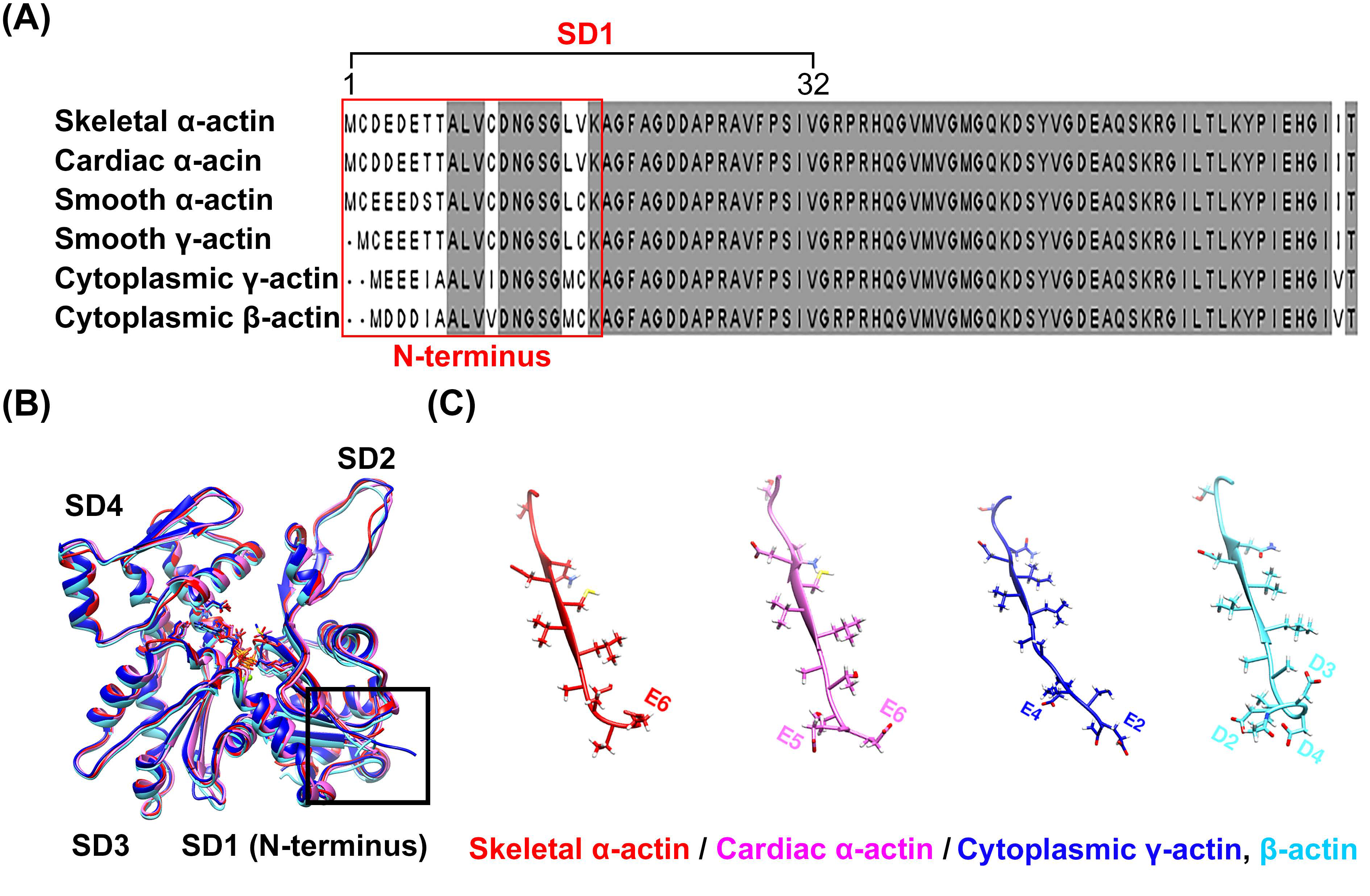 Molecules 29 02992 g001