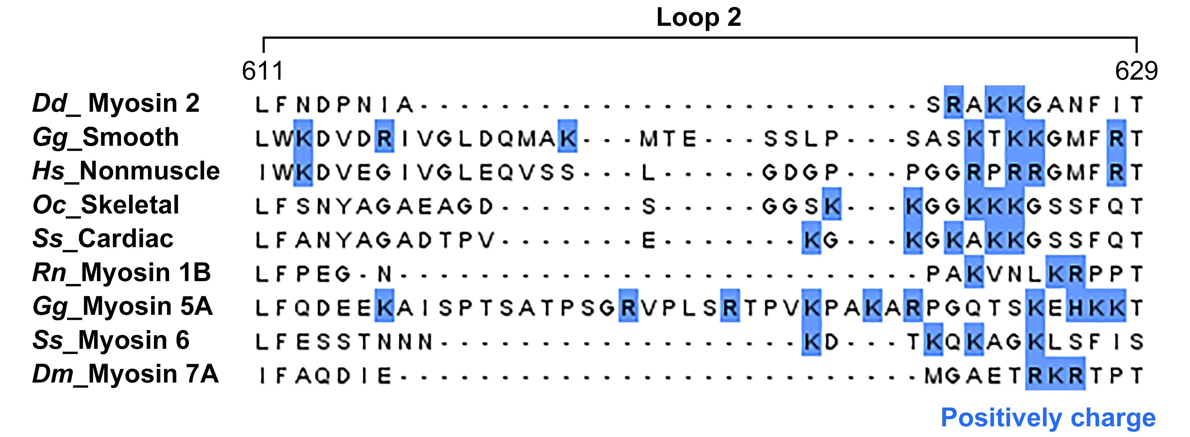 Molecules 29 02992 g003