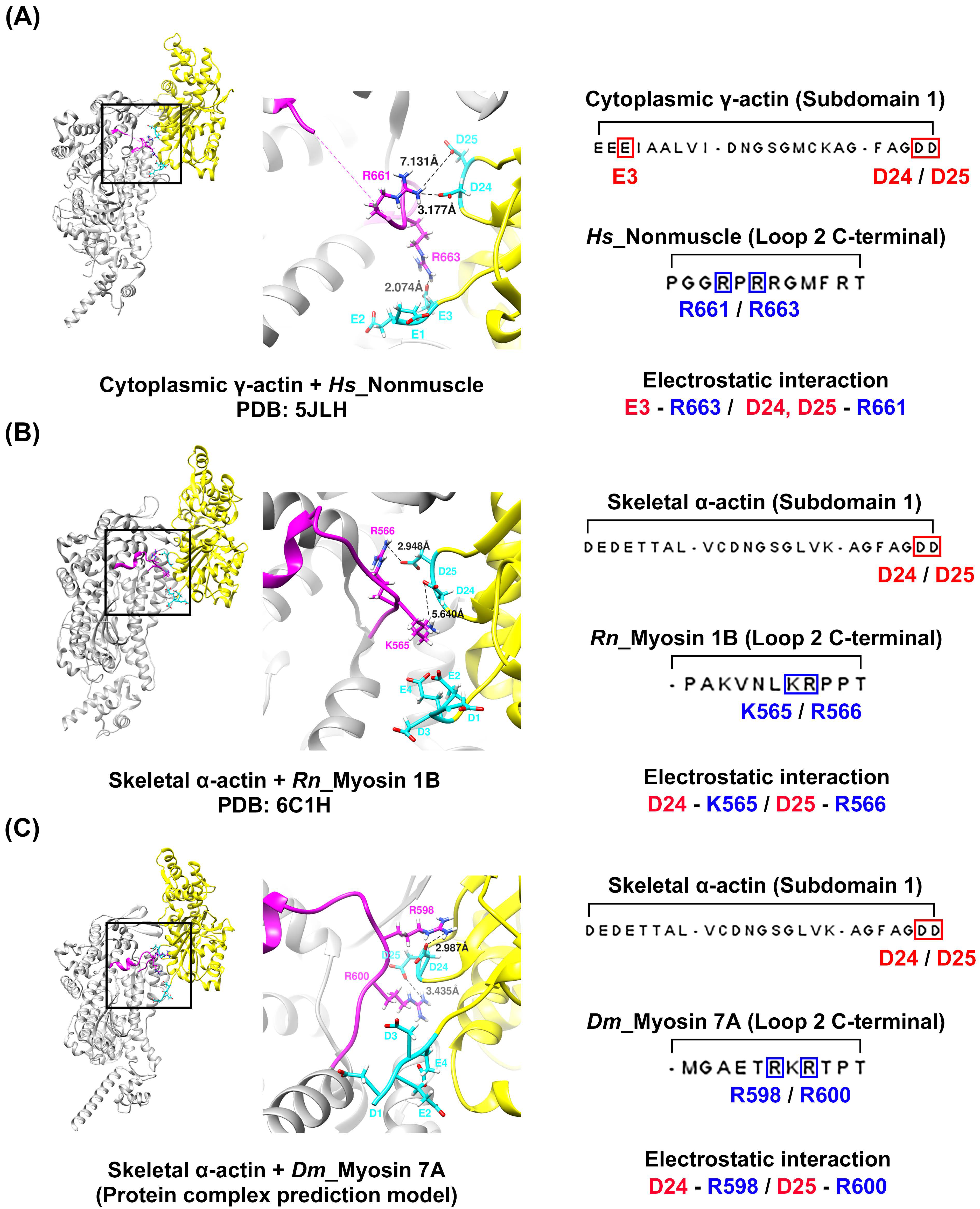 Molecules 29 02992 g004