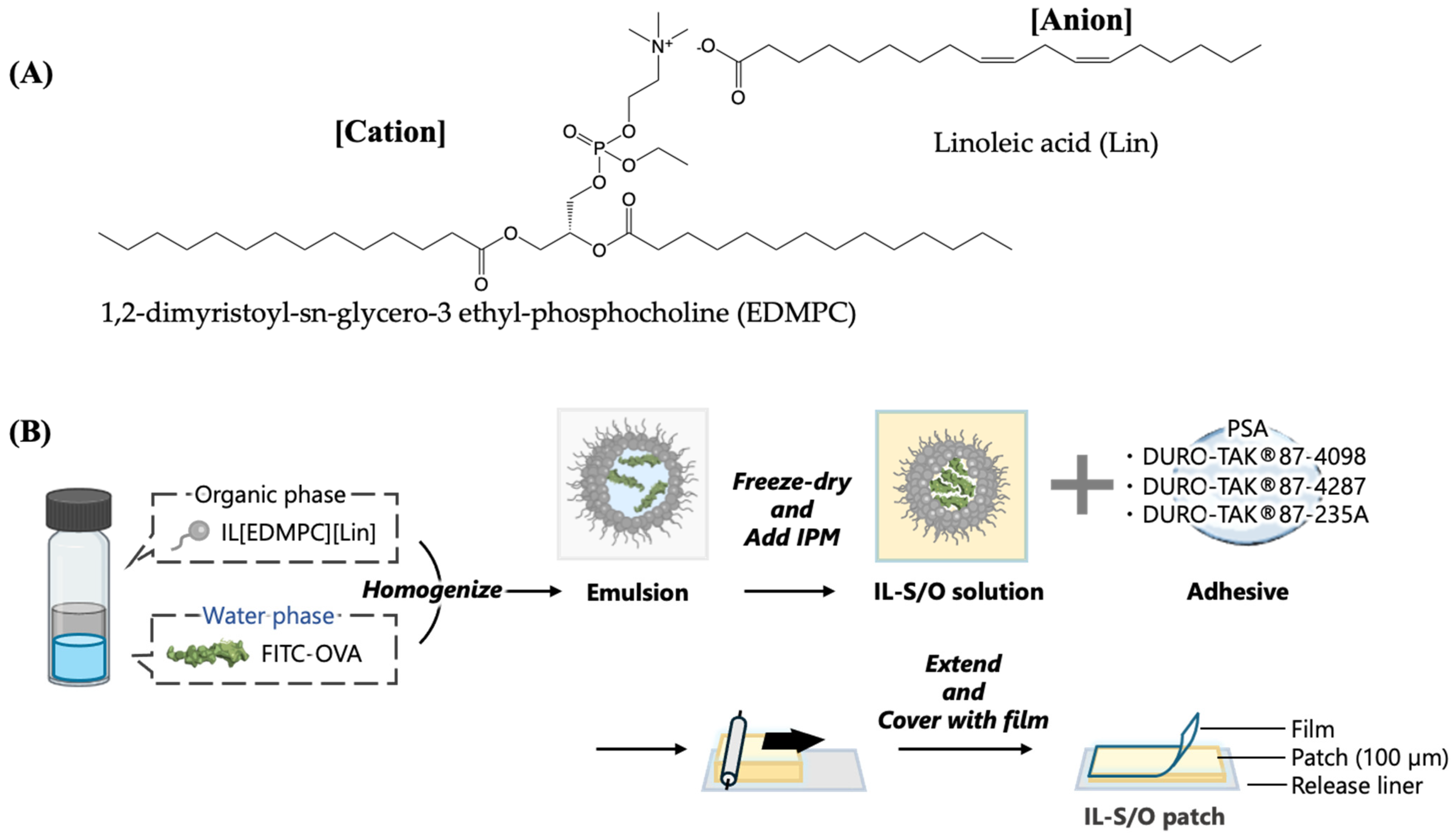 Molecules 29 02995 g001