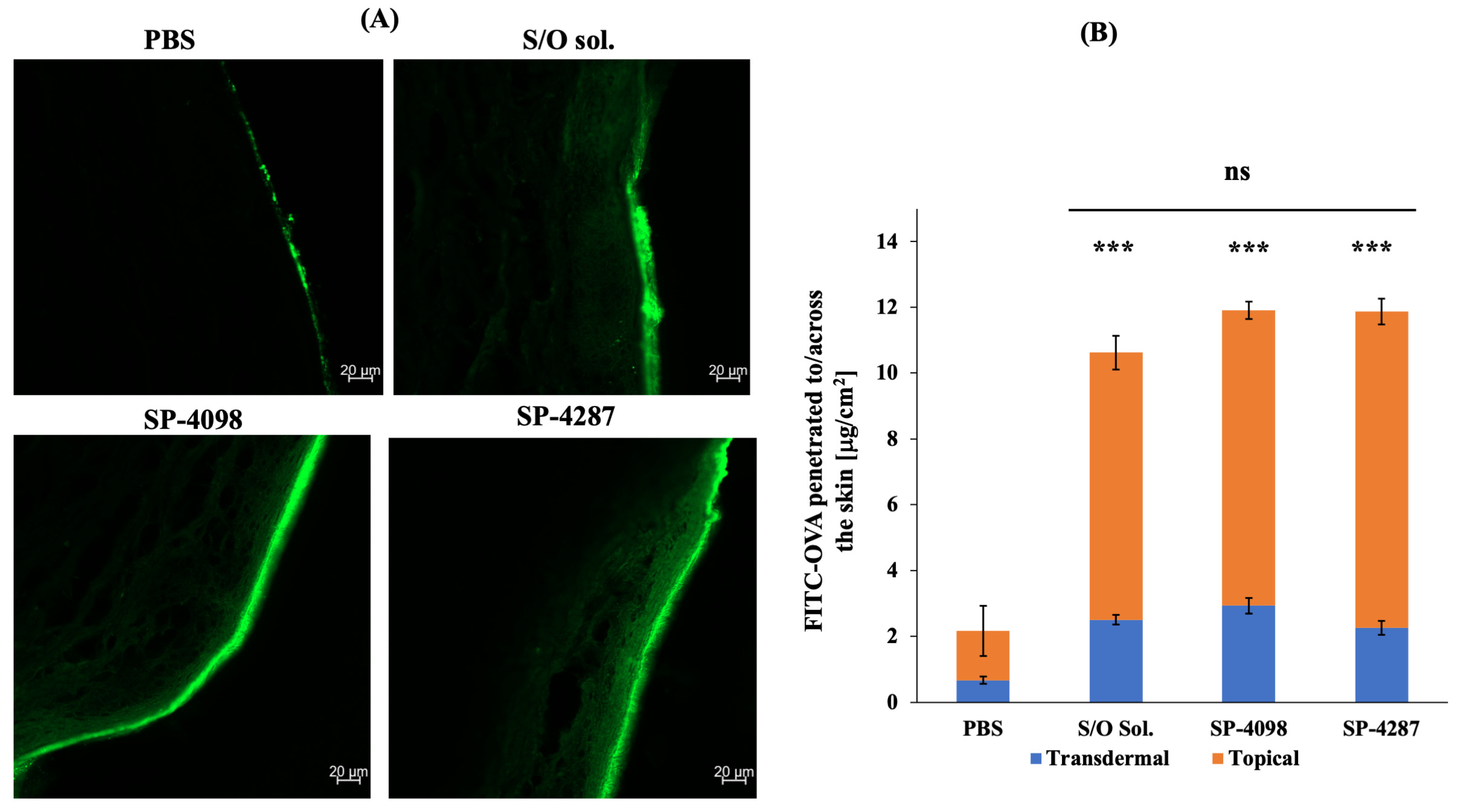 Molecules 29 02995 g006
