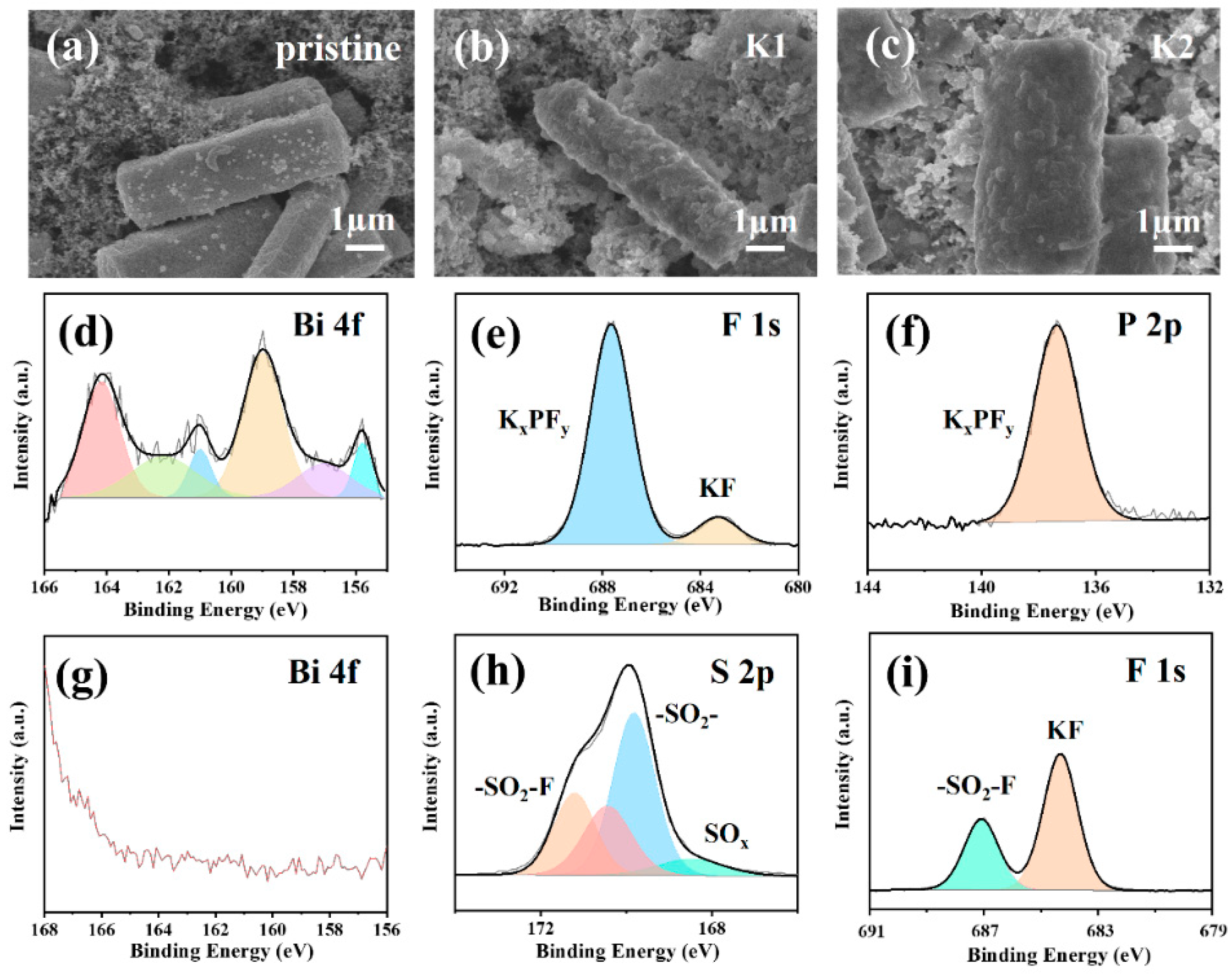 Molecules 29 02996 g007