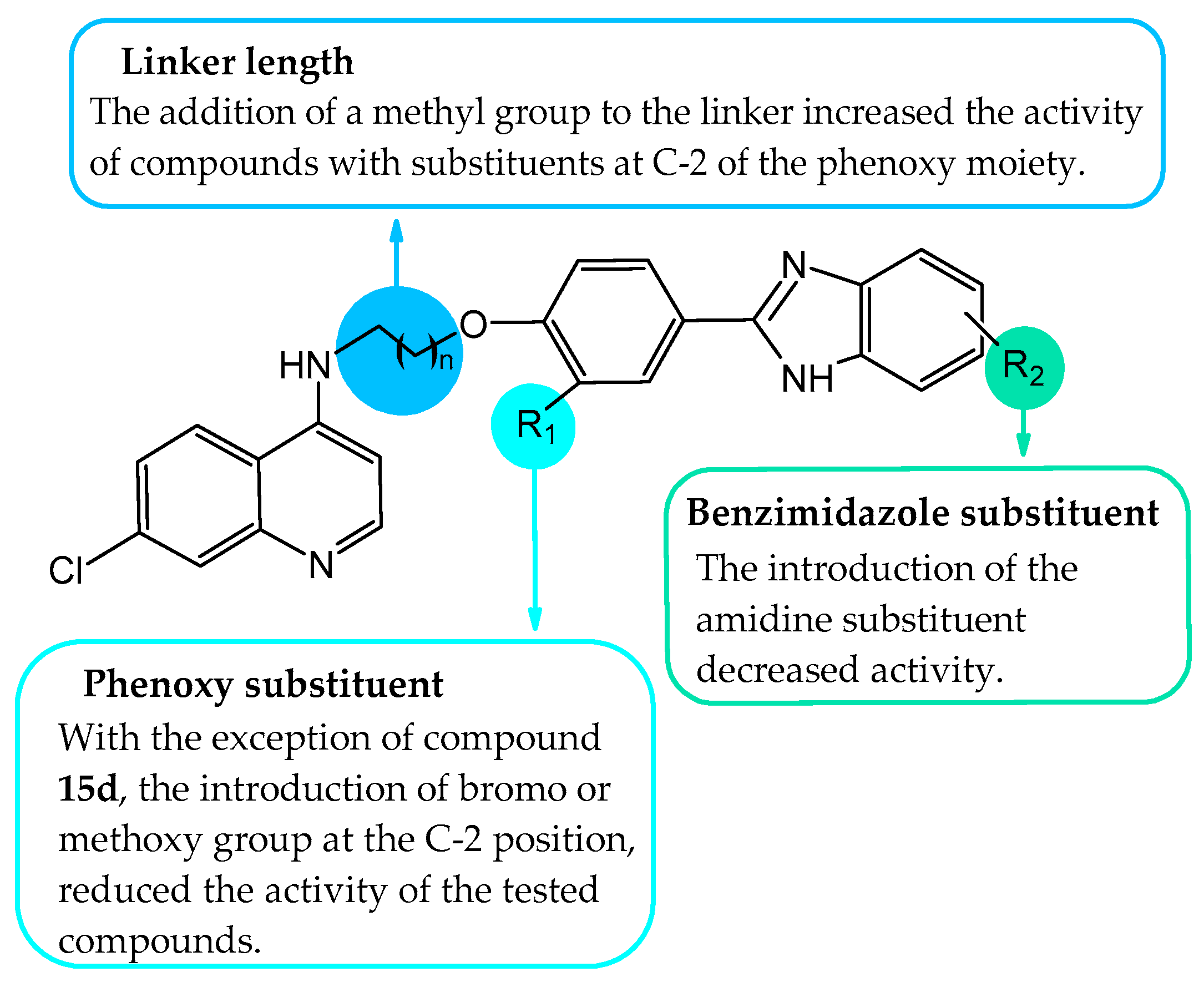 Molecules 29 02997 g001