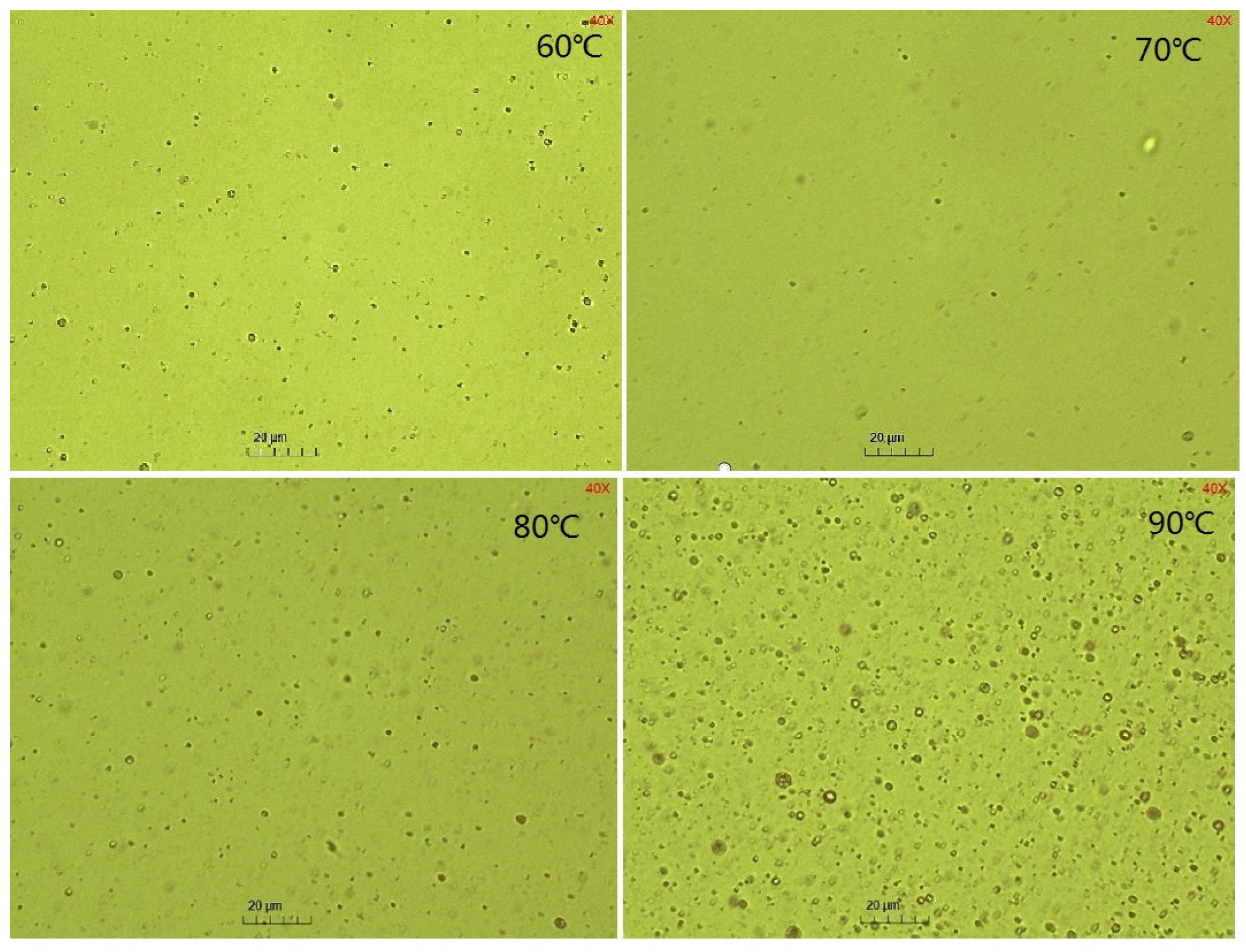 Molecules 29 02998 g005