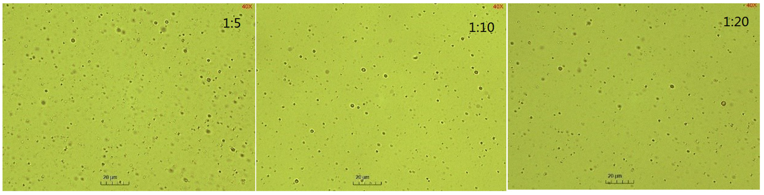 Molecules 29 02998 g017