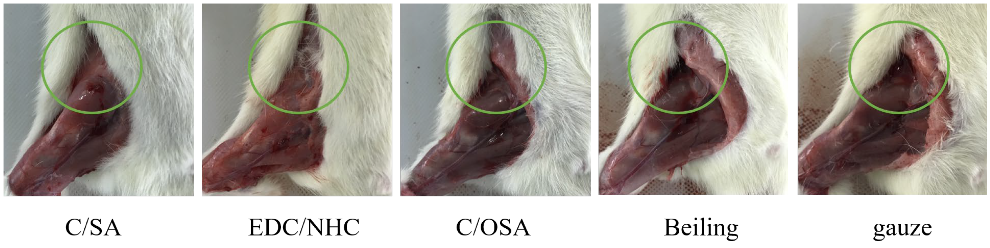 Molecules 29 02999 g004