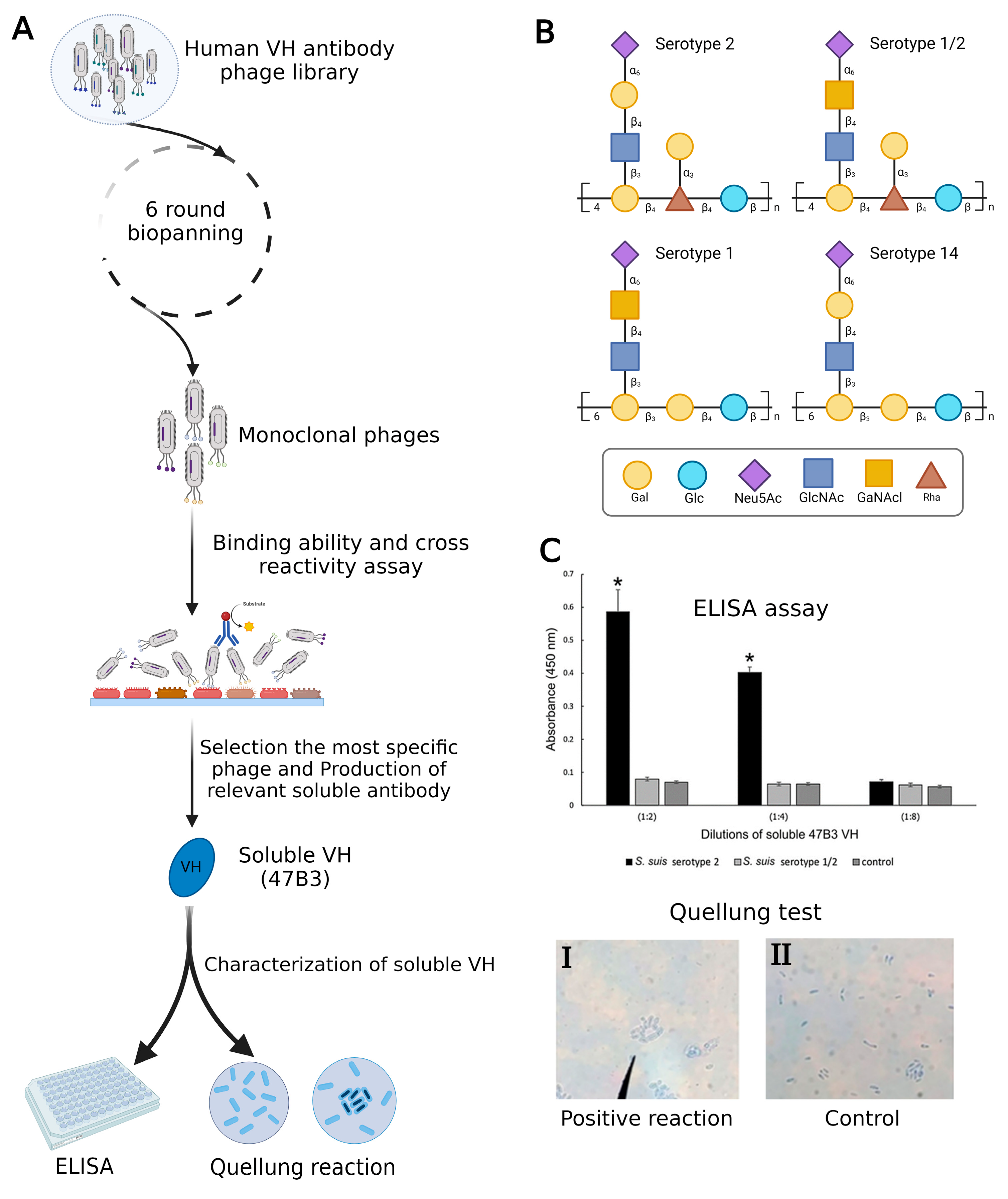 Molecules 29 03002 g002