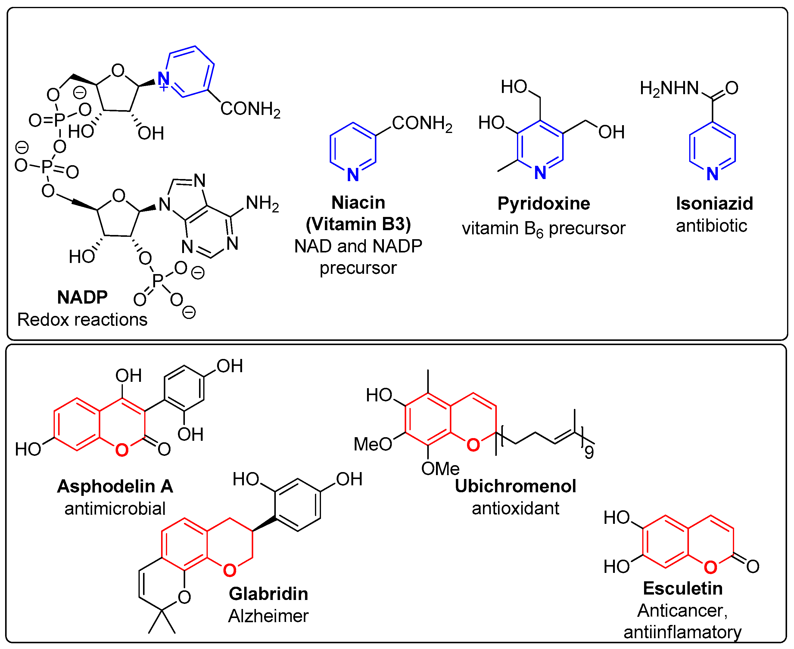 Molecules 29 03004 g001