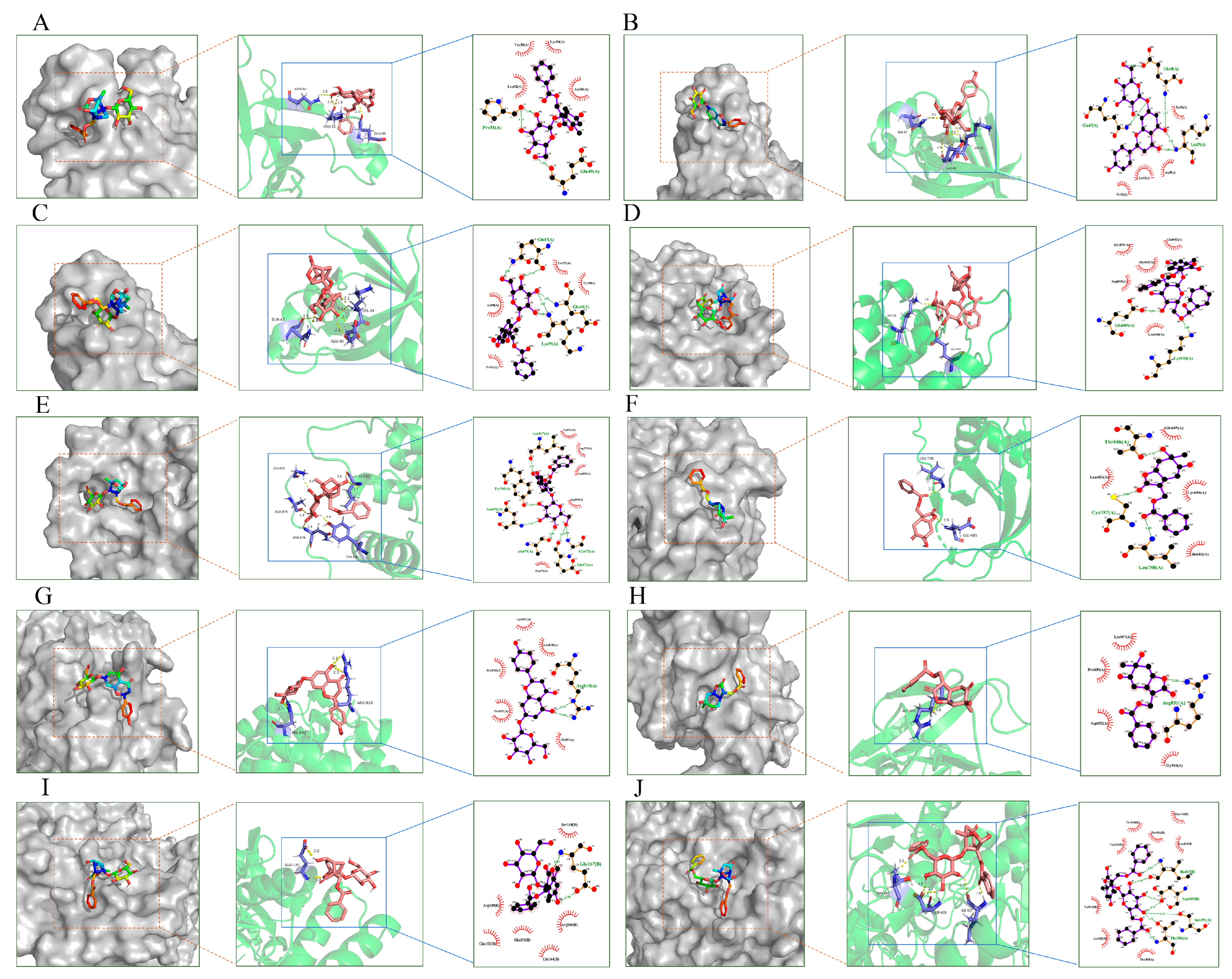 Molecules 29 03019 g008