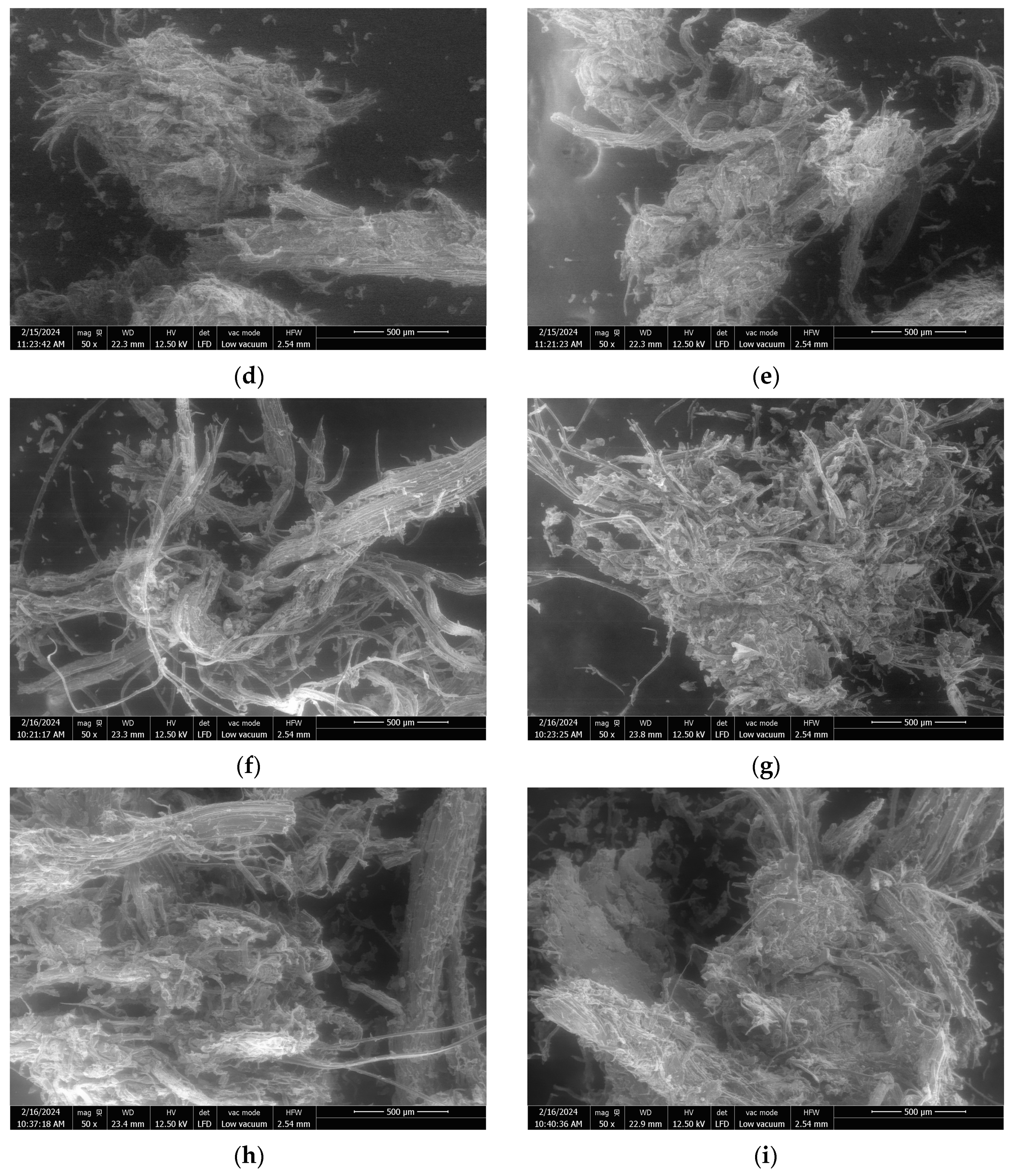 Molecules 29 03020 g002b
