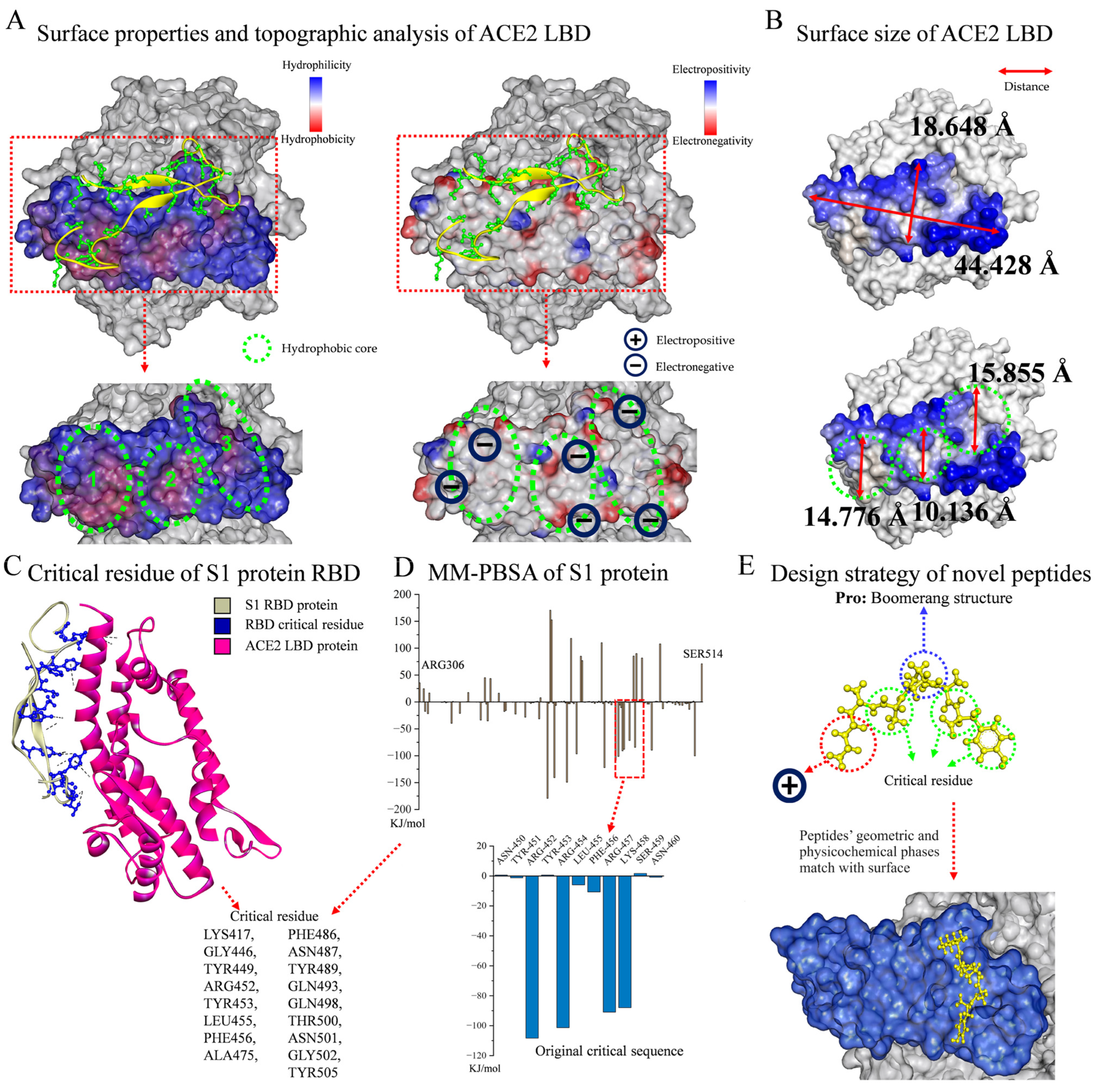 Molecules 29 03022 g001