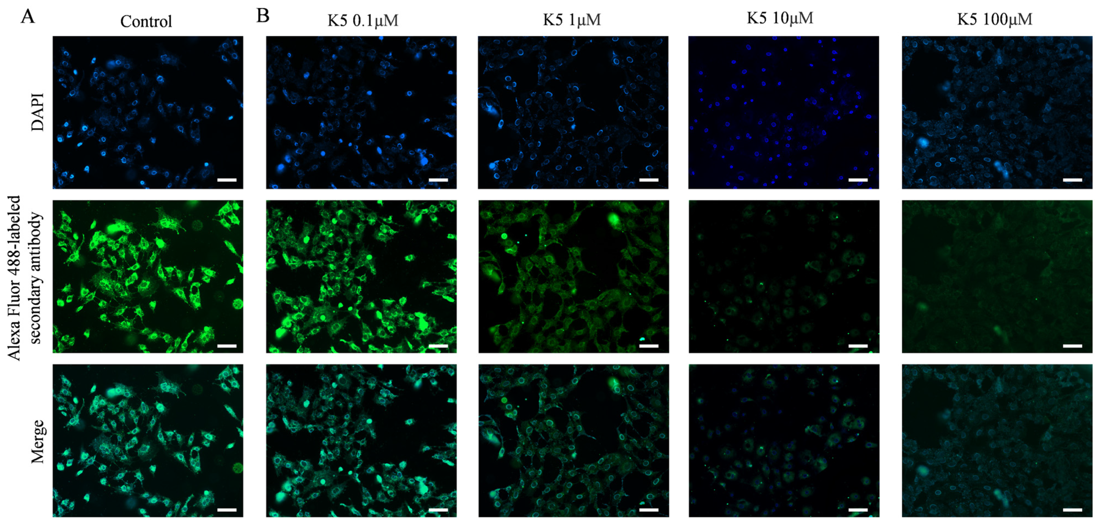 Molecules 29 03022 g005