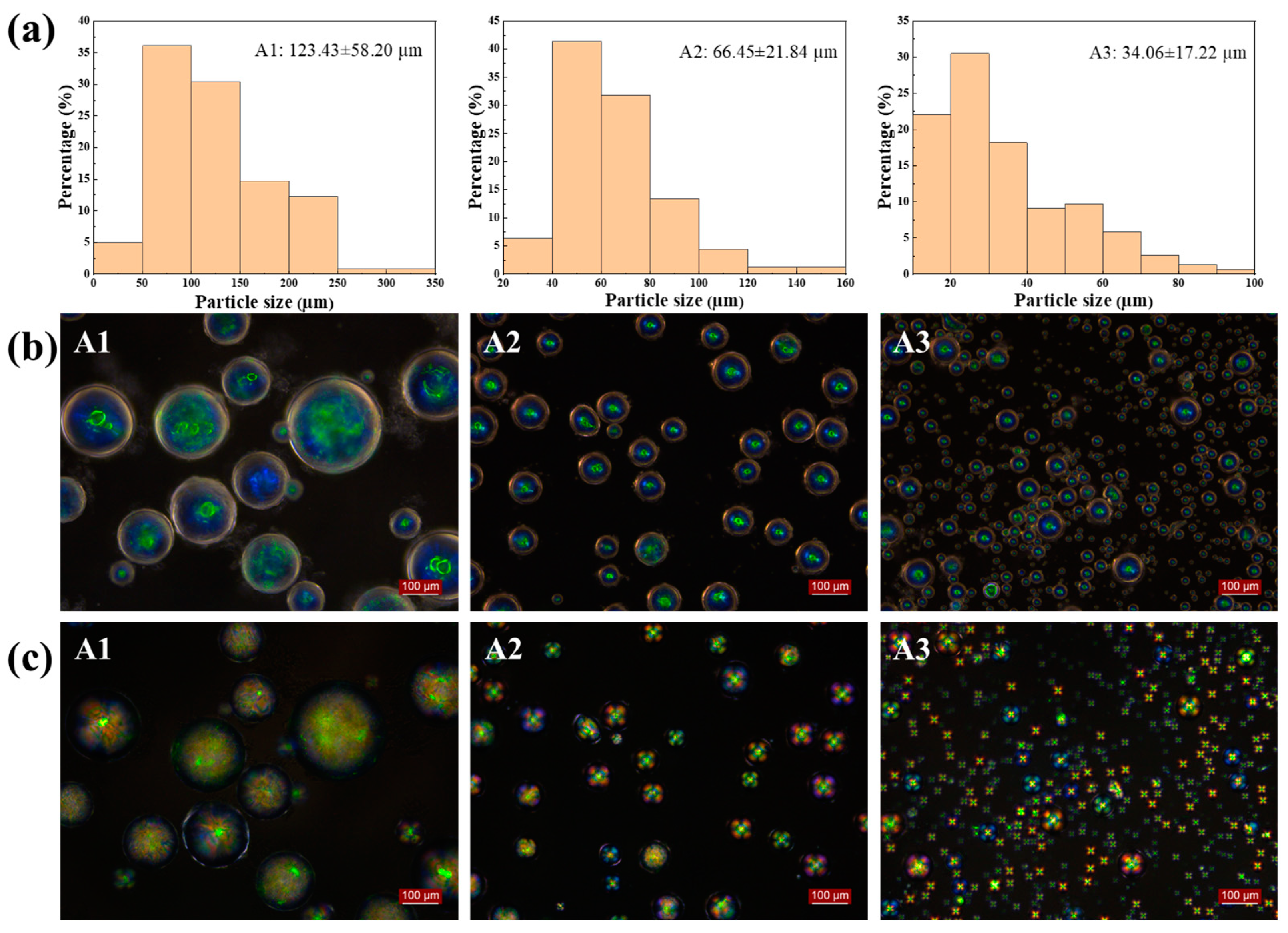 Molecules 29 03030 g002
