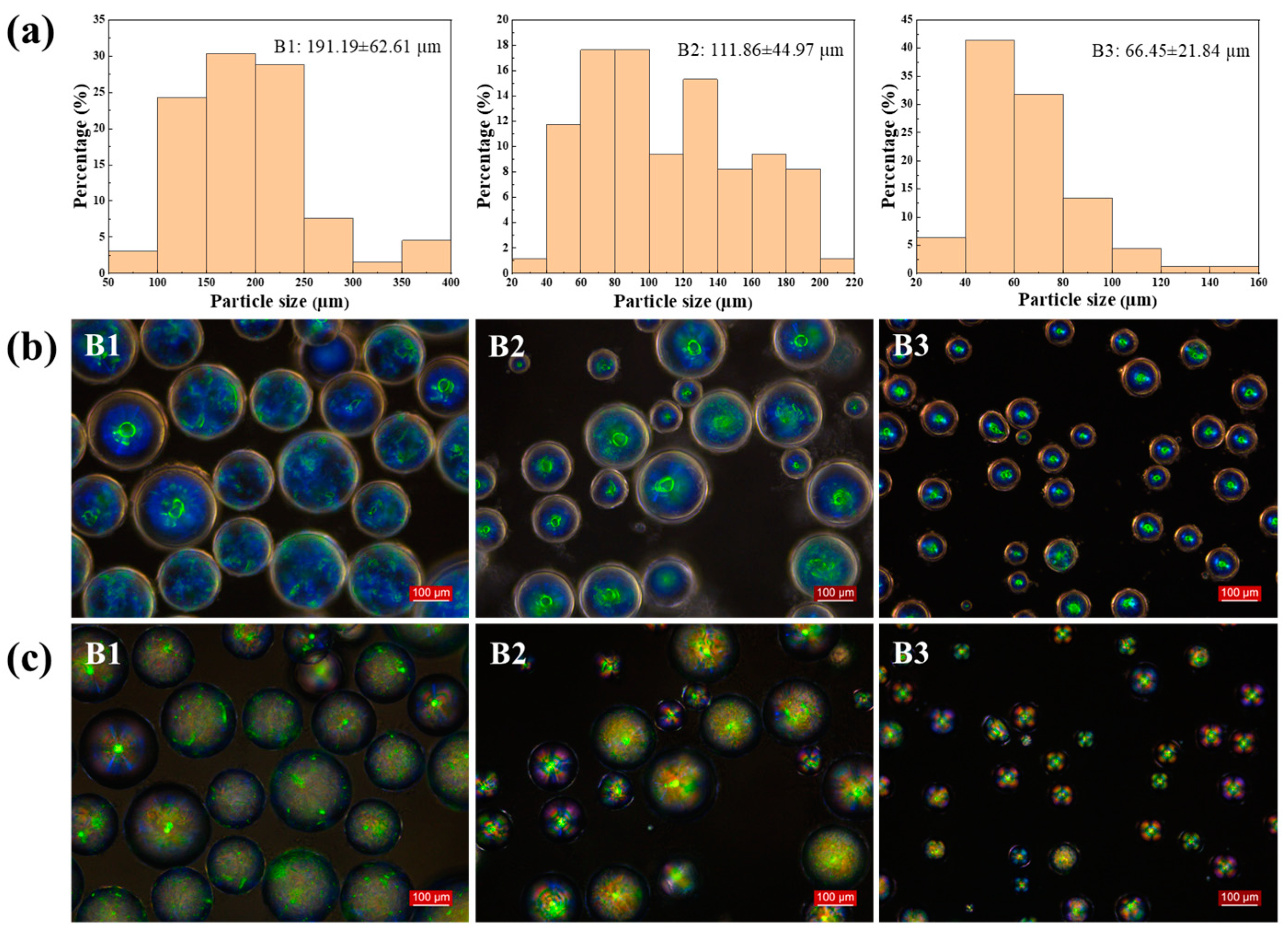 Molecules 29 03030 g003
