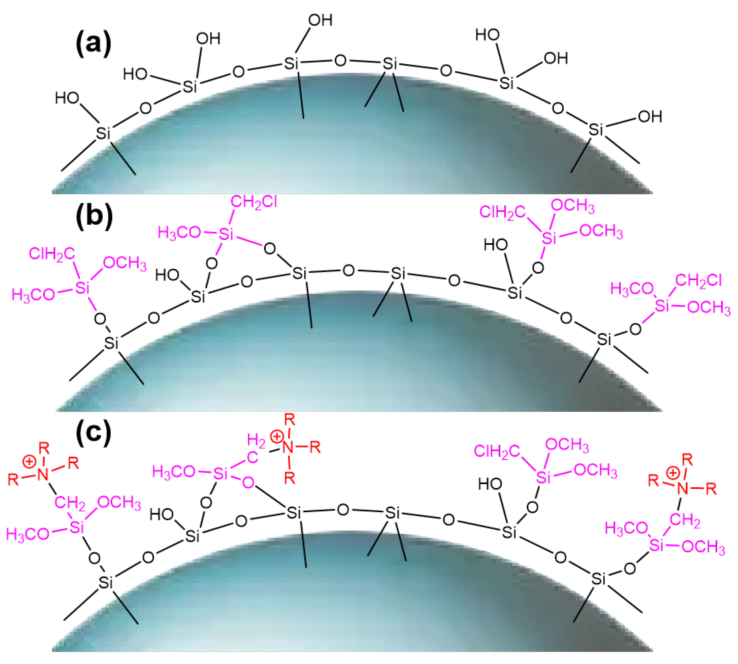 Molecules 29 03031 g006