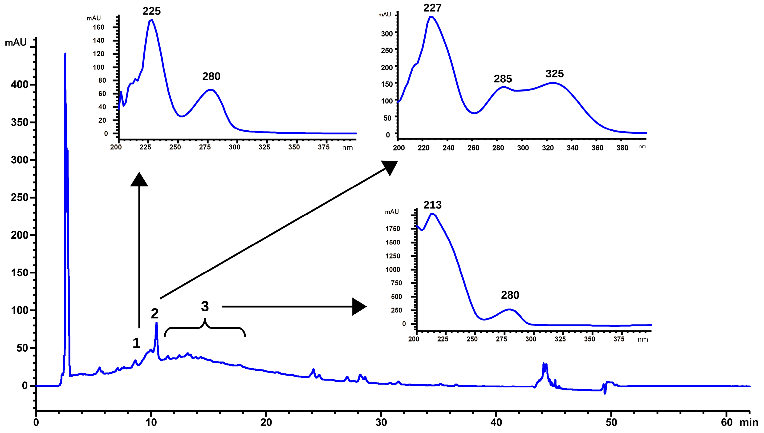 Molecules 29 03034 g001