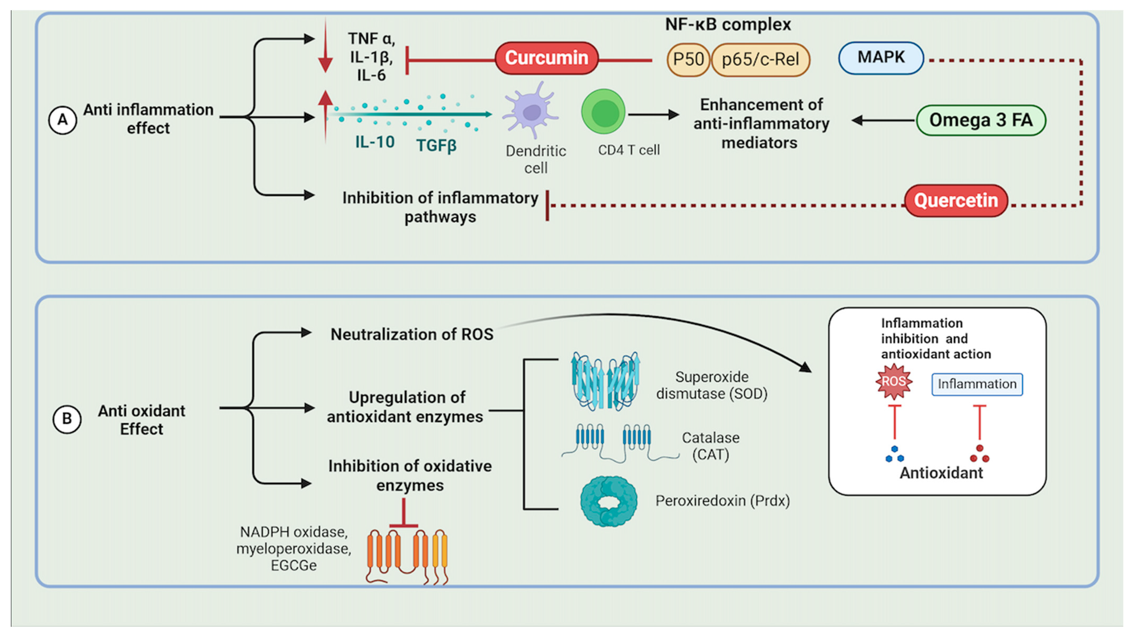 Molecules 29 03044 g002
