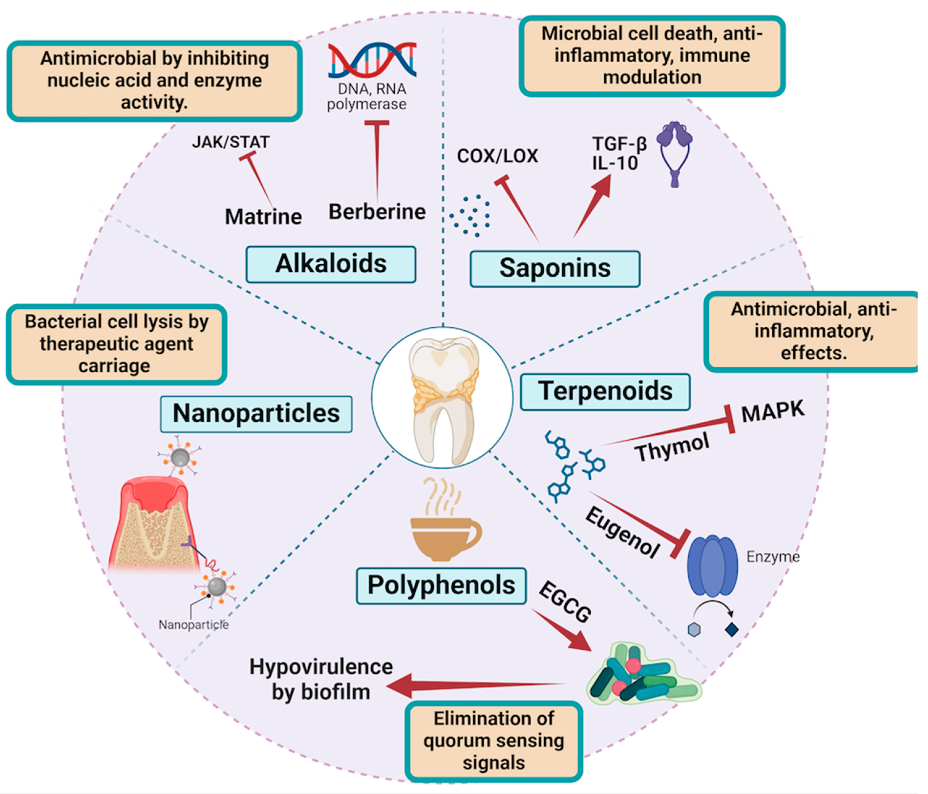 Molecules 29 03044 g003