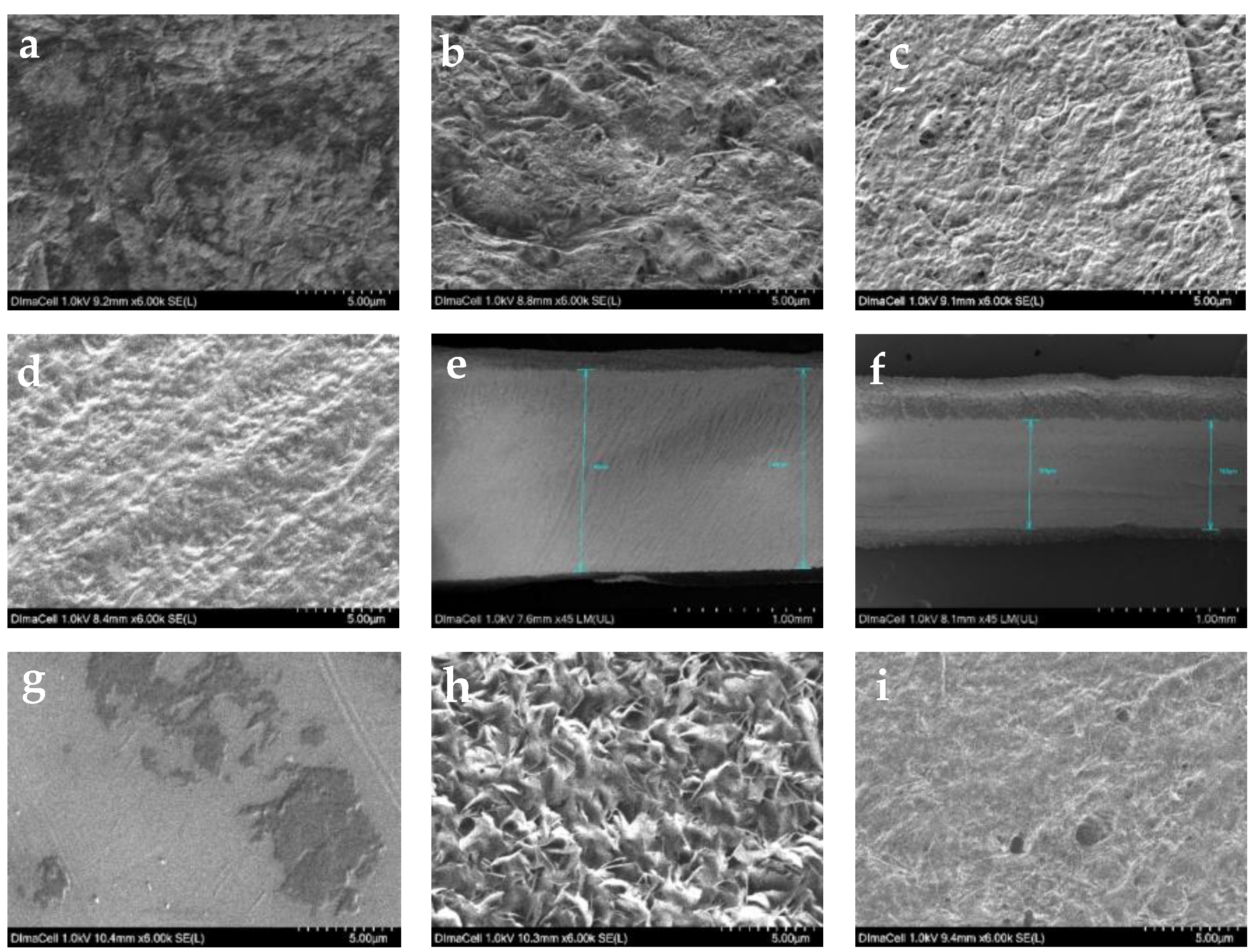 Molecules 29 03045 g002