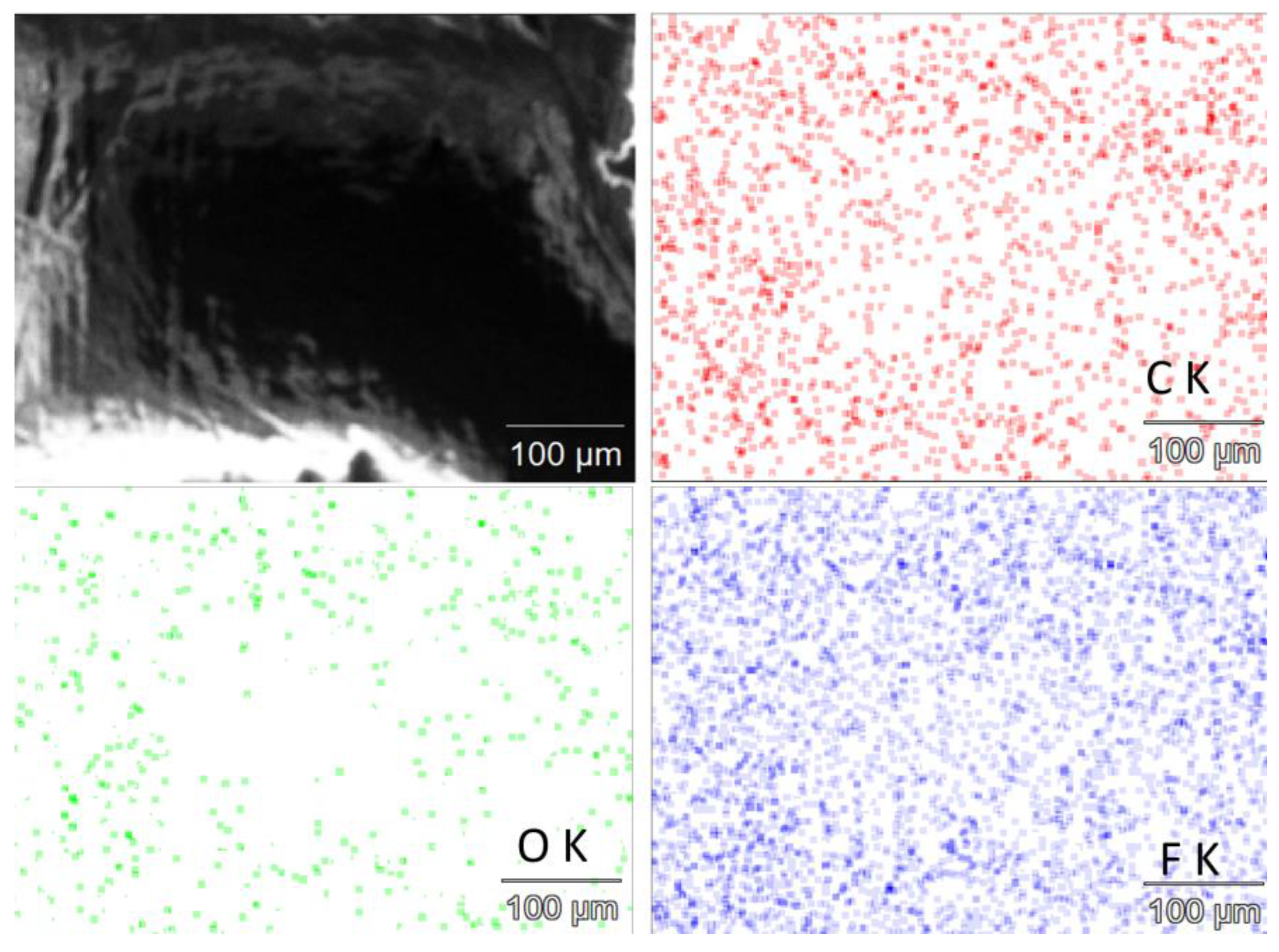 Molecules 29 03045 g007