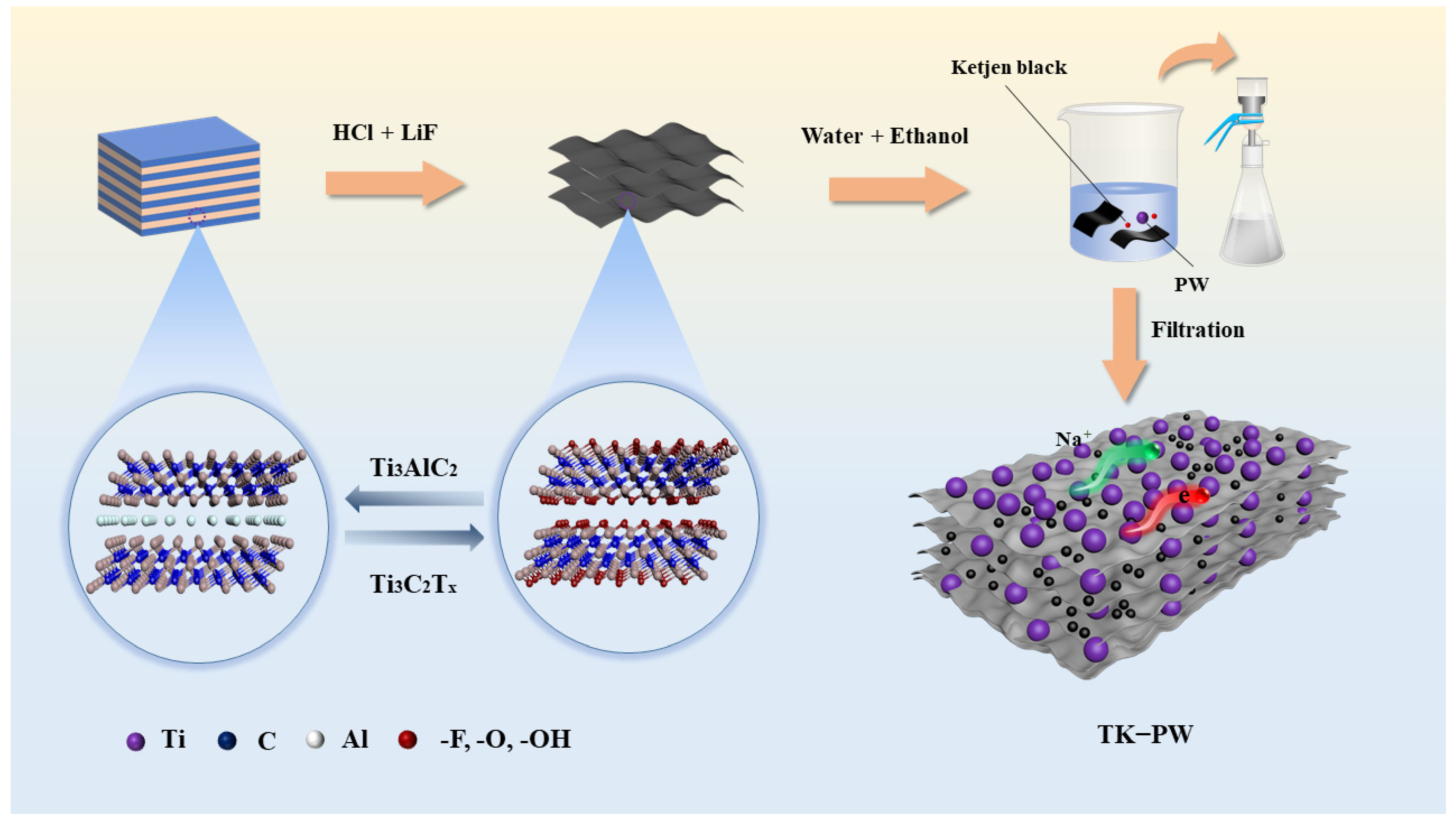 Molecules 29 03048 g001