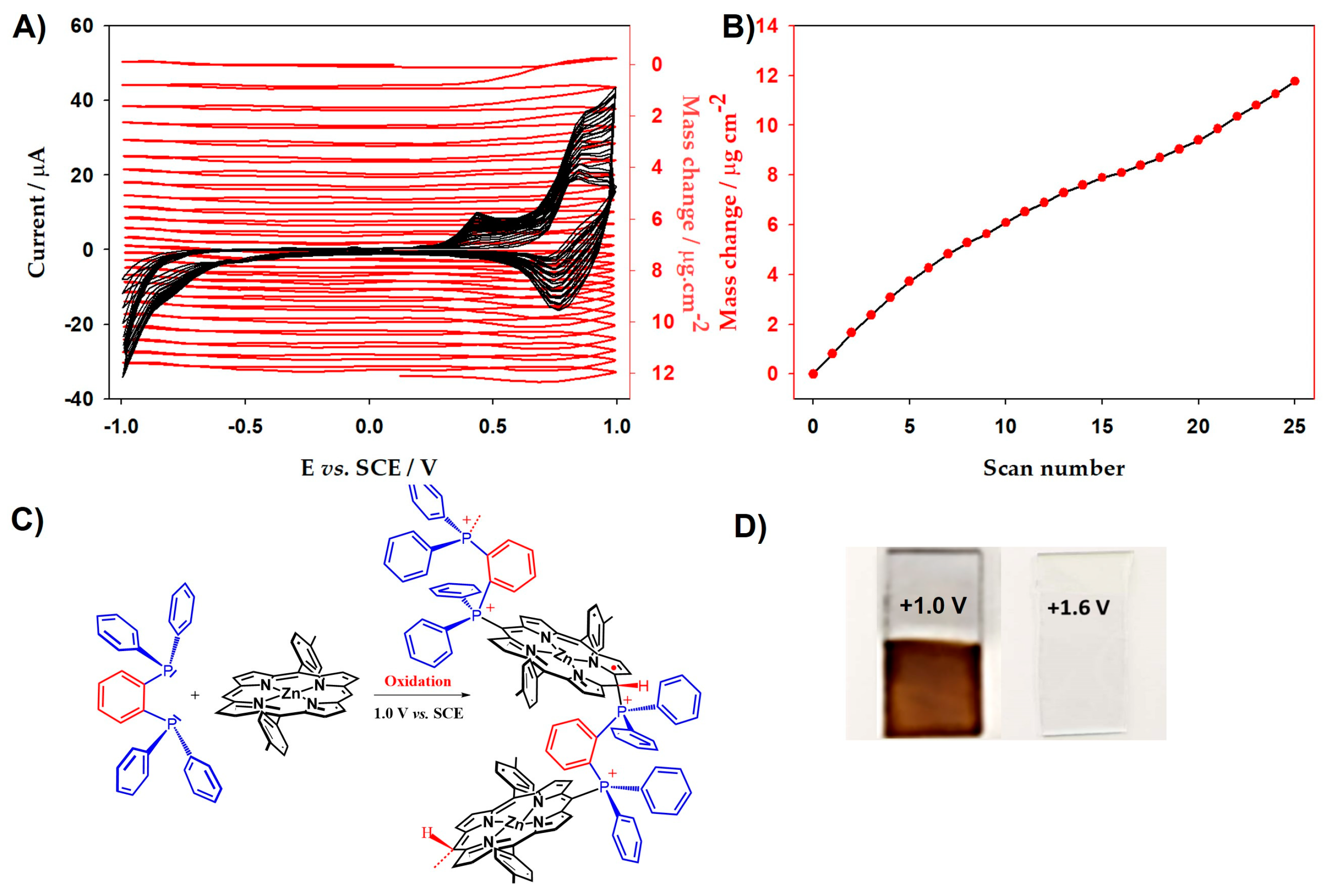 Molecules 29 03056 g002