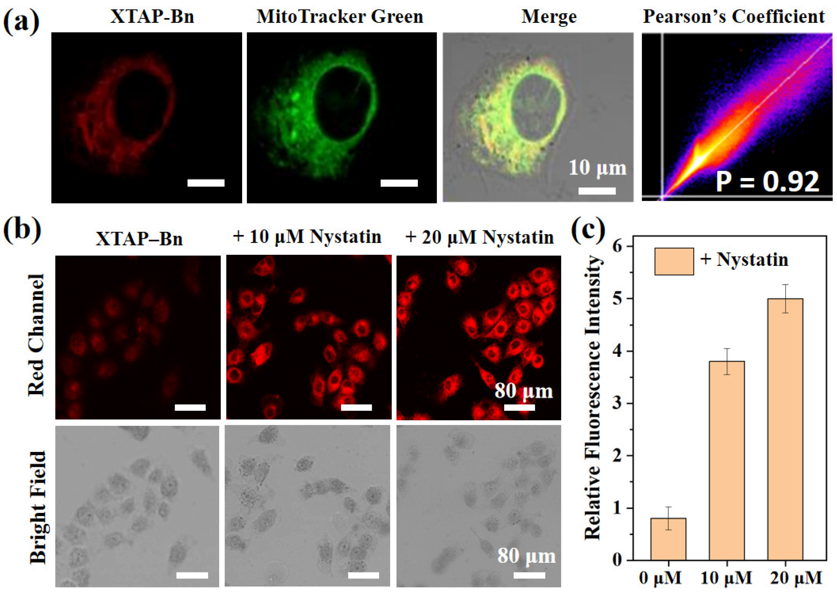 Molecules 29 03059 g005