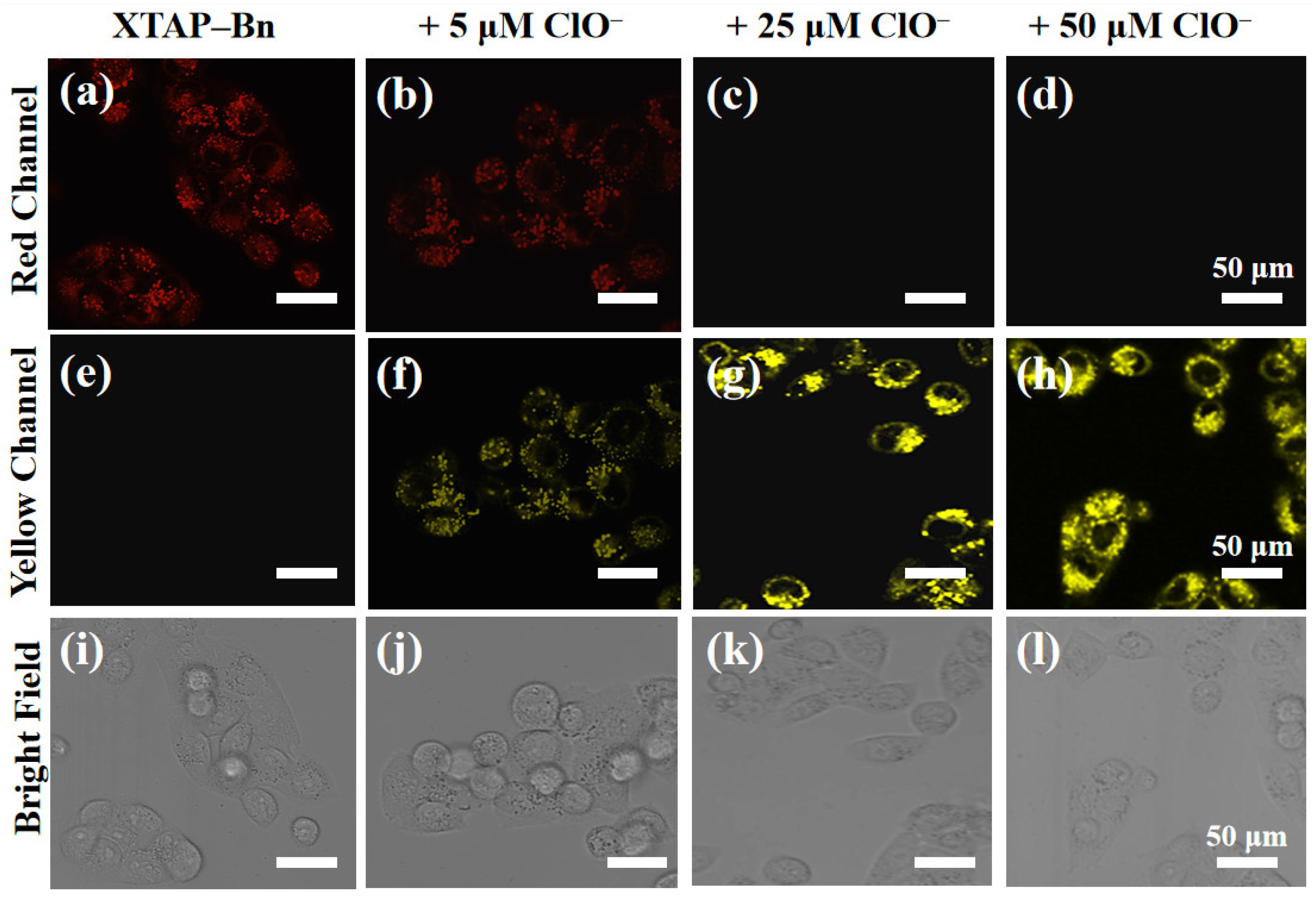 Molecules 29 03059 g006
