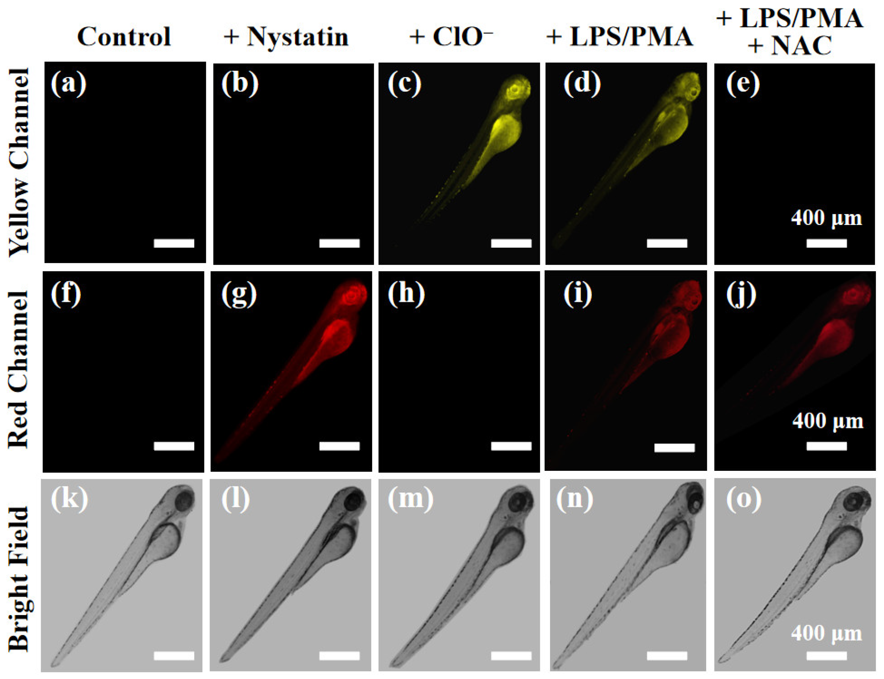 Molecules 29 03059 g008