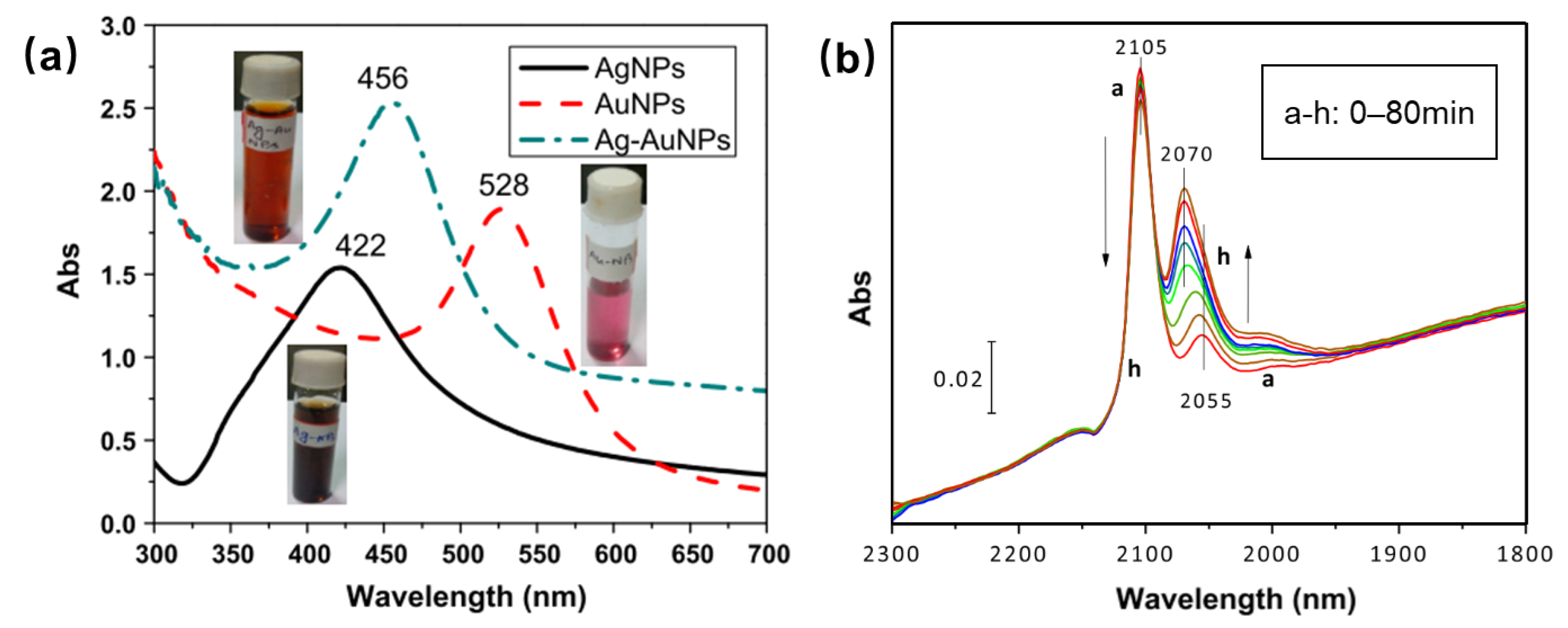 Molecules 29 03062 g004